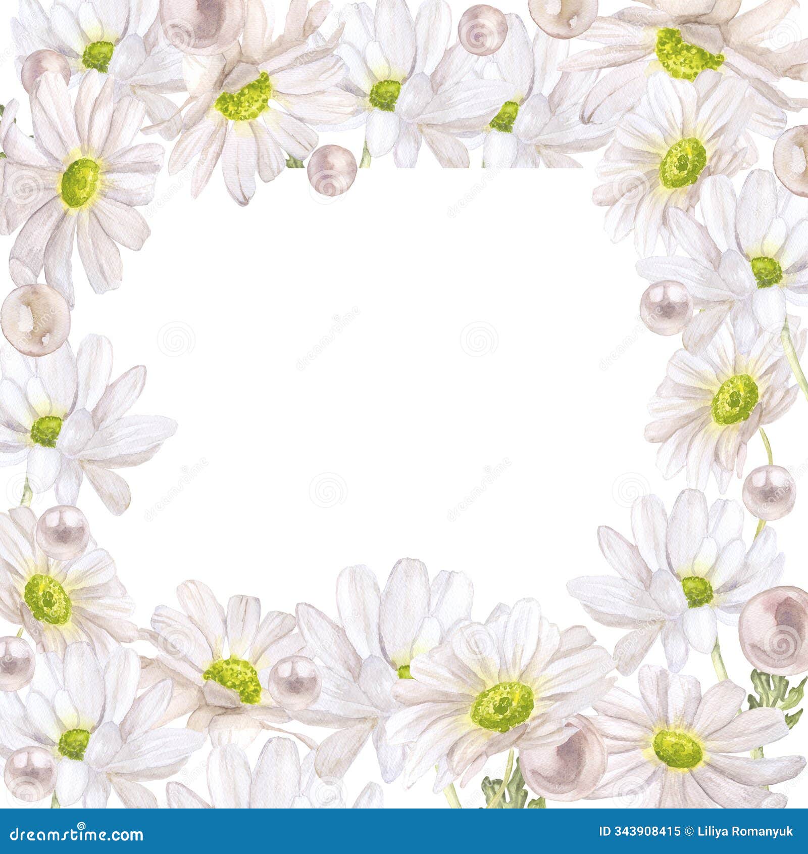 chamomile leaves and buds pearl frame watercolor   on white background base for card  textile tableware