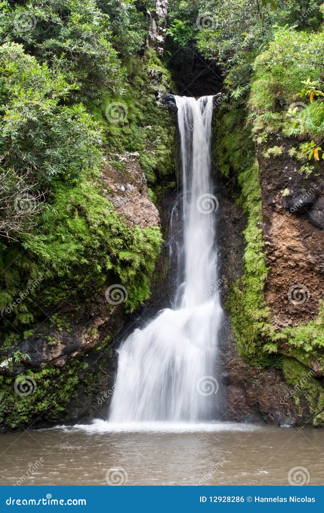 Bassin Blanc Stock Photos Free & RoyaltyFree Stock Photos from