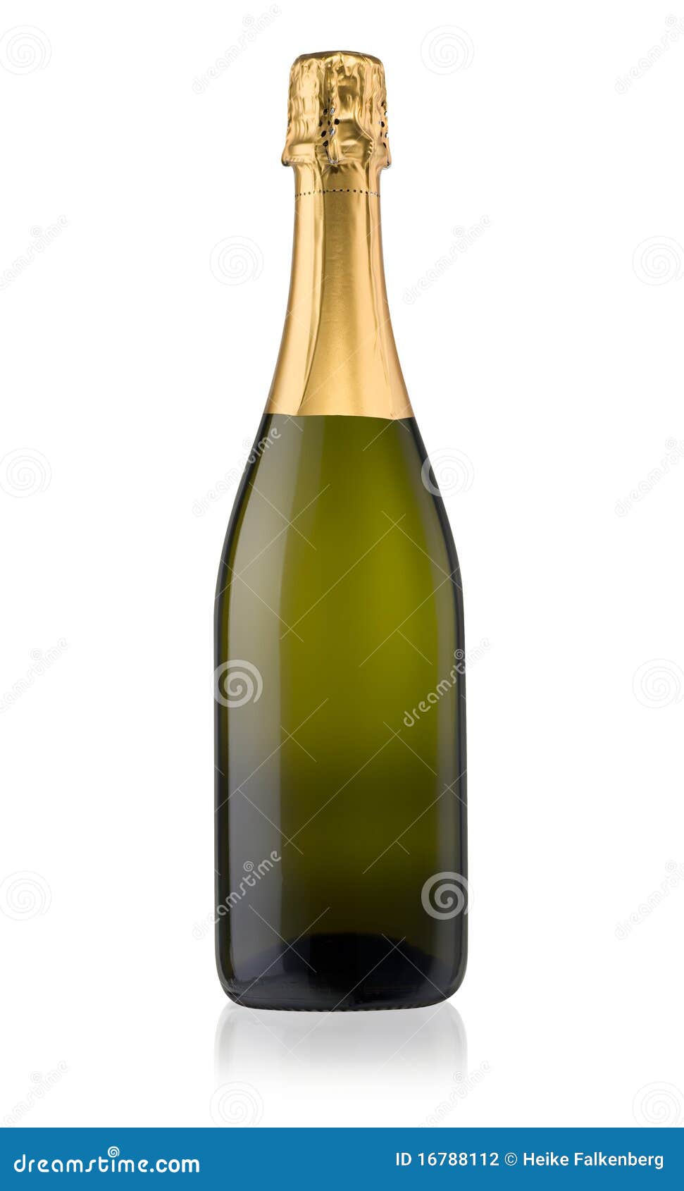 Champagne Bottle Isolated stock photo. Image of bubbly 16788112