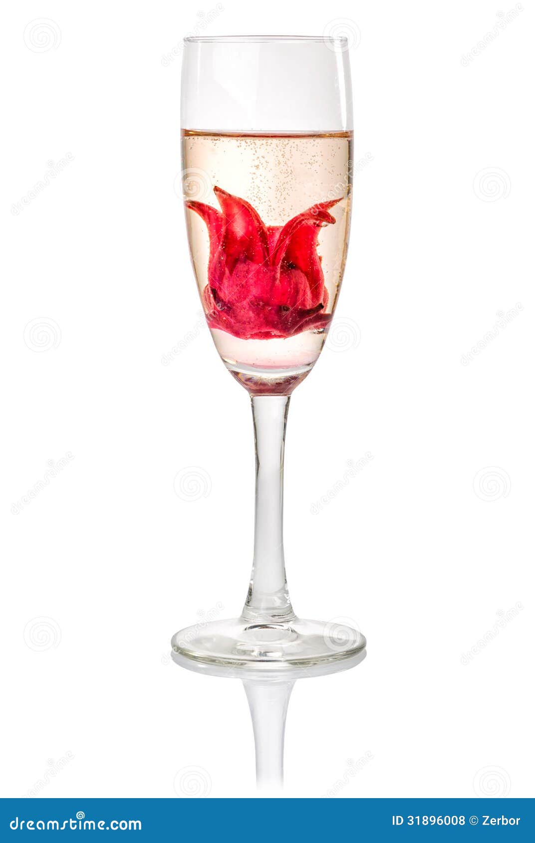 Champagne Cocktail with Hibiscus Flower Stock Photo Image of elegance