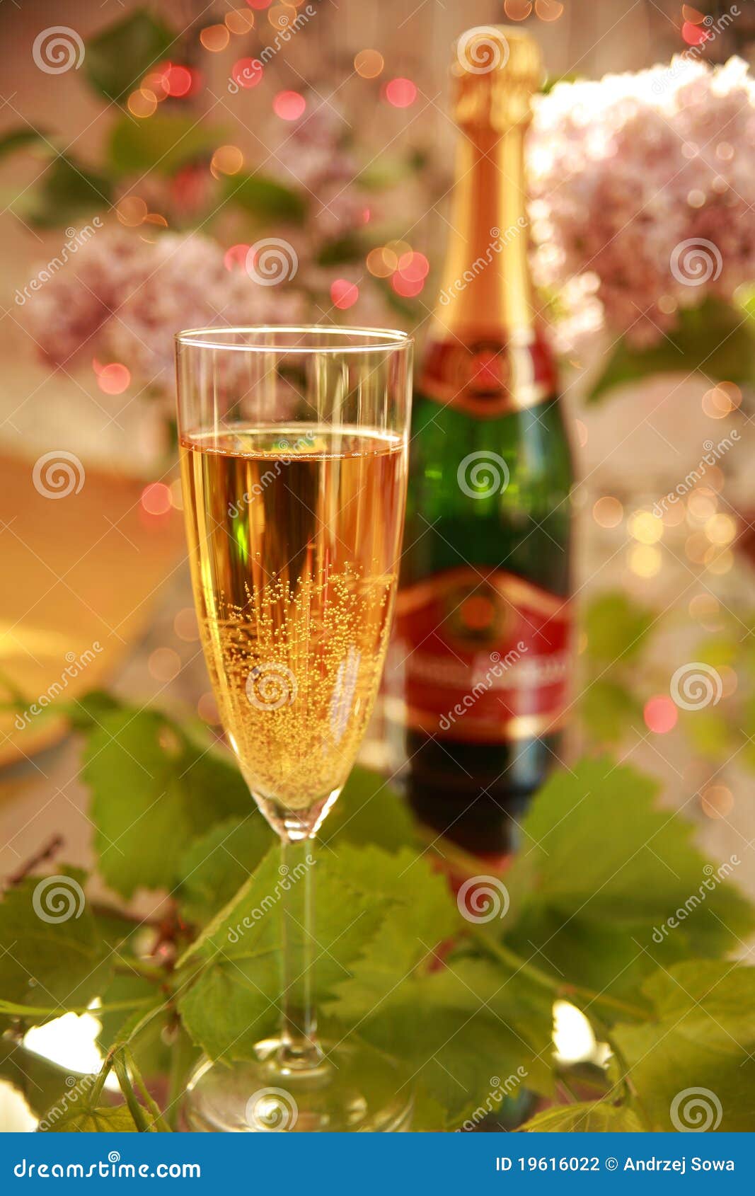 Champagne in Glass and Grapevine Leaves Stock Photo Image of