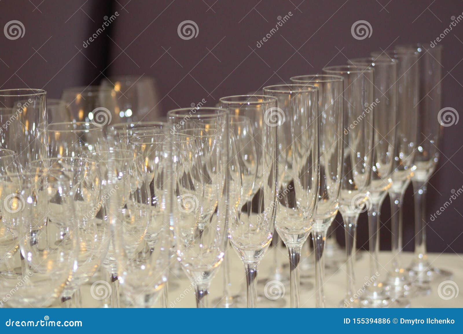Champagne Glasses in a Row on a Table Stock Photo Image of drink