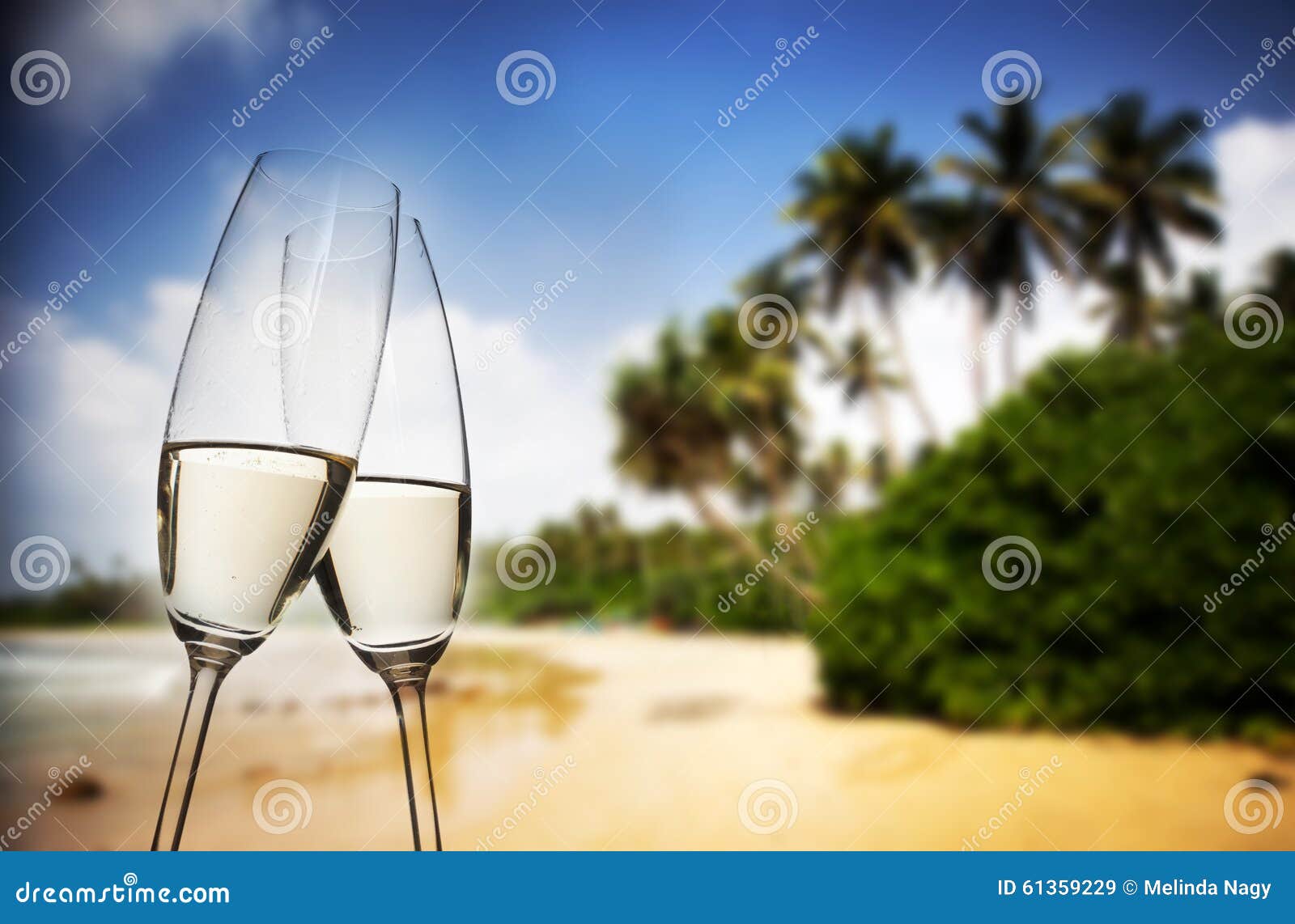 Champagne Glasses On Tropical Beach Exotic New Year Stock Image Image Of Alcohol Drink