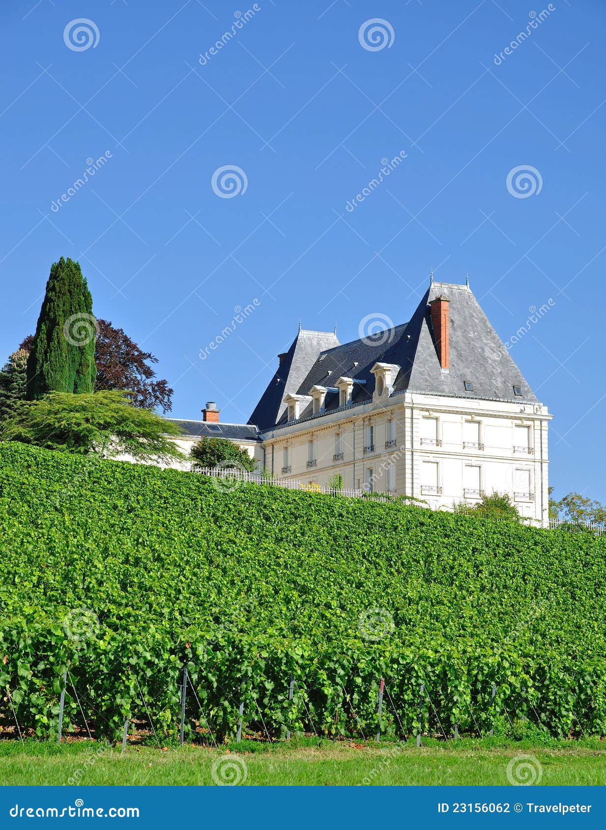 4,651 Epernay France Stock Photos - Free & Royalty-Free Stock Photos from  Dreamstime