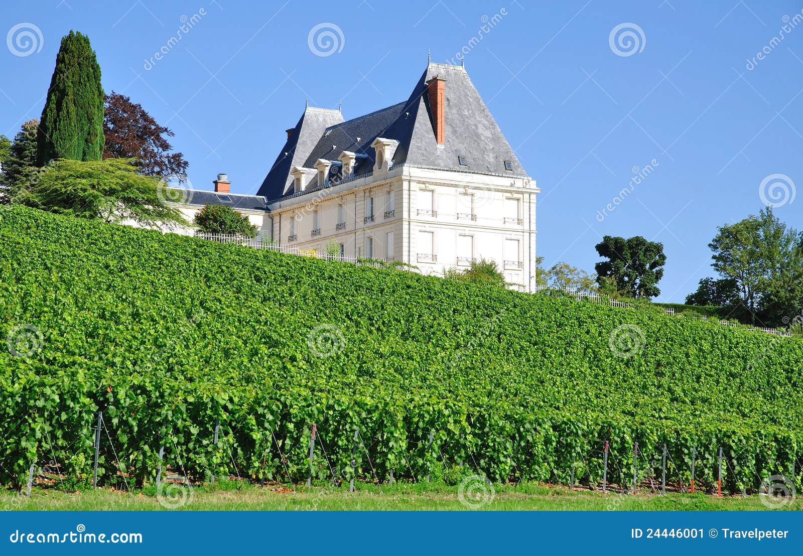 champagne region near epernay,france