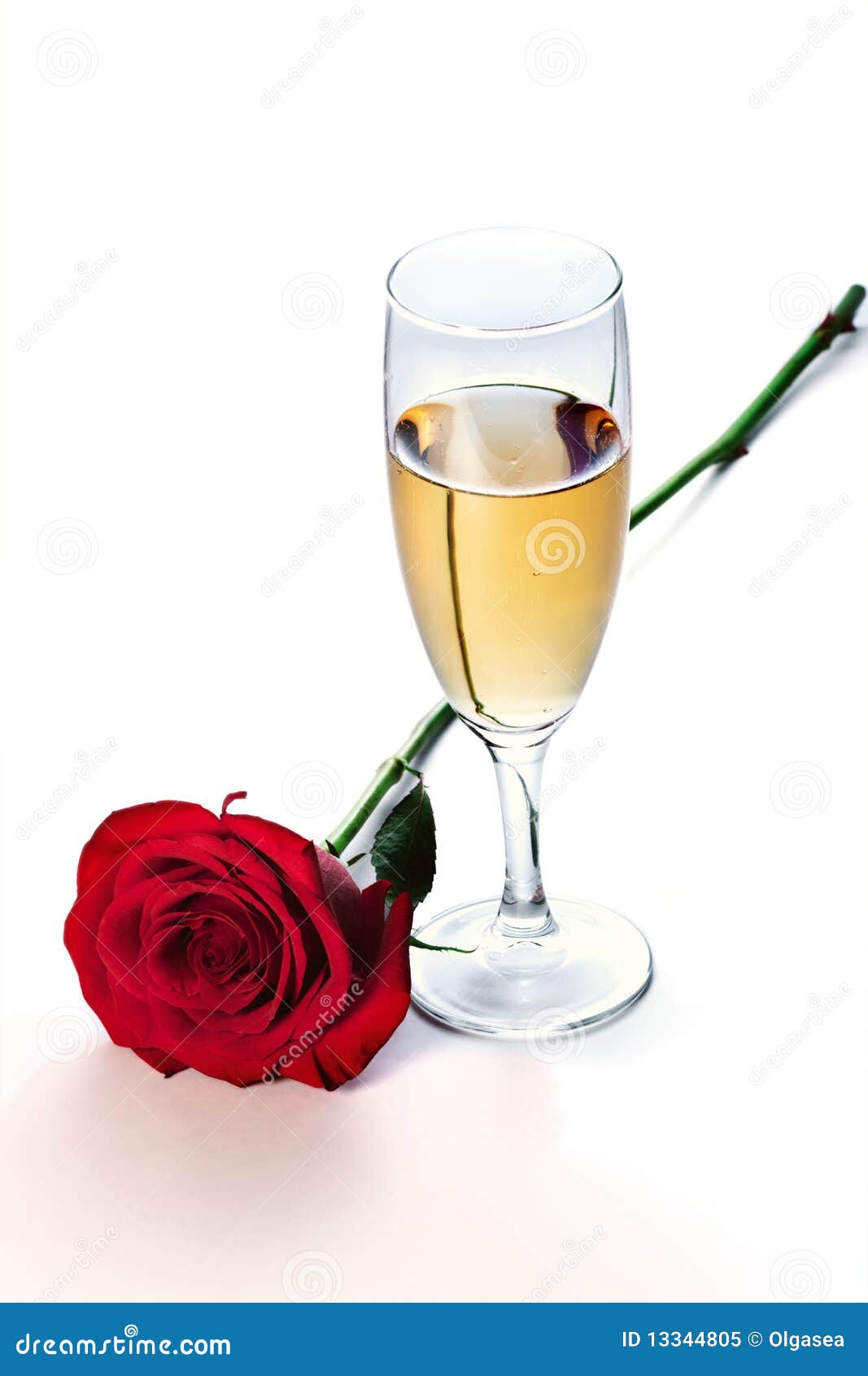 Champagne and rose stock image. Image of drink, black 13344805