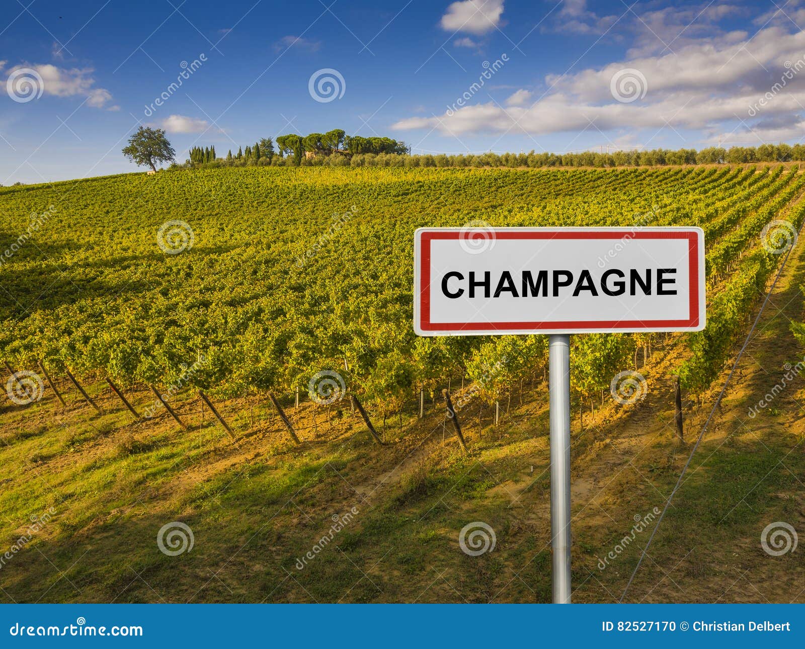 champagne wine region of france