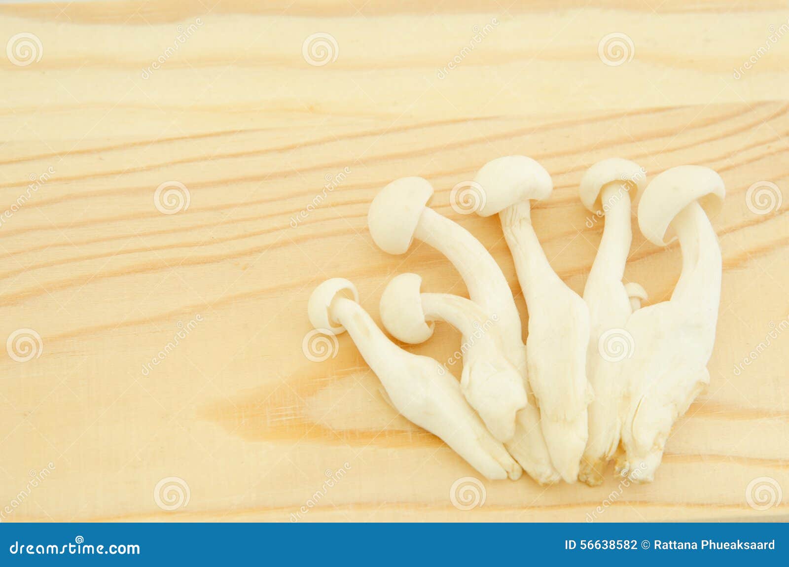 Champignon De Shimeji De Japonais Photo stock Image du cuisine
