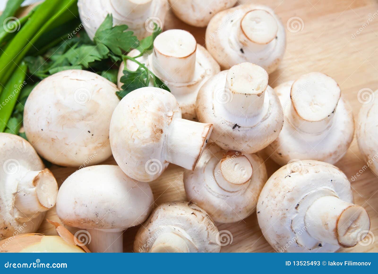 Champignon Mushroom Stock Image Image Of Healthy Fresh Champignon Mushroom Stock Image Image Of Healthy Fresh