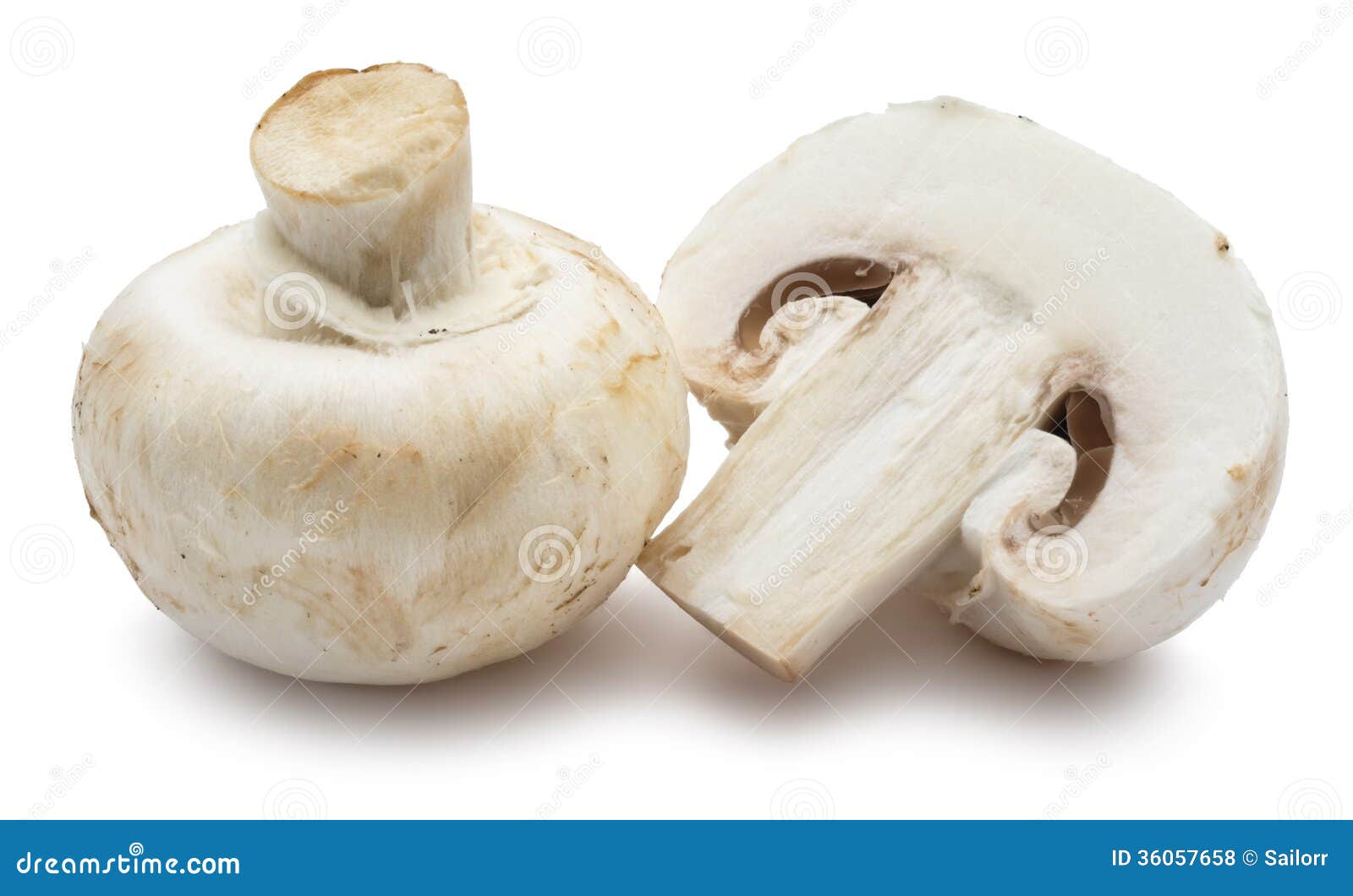 2 nutrition mushrooms Image Champignon Stock Photos Mushrooms Royalty Free 2 nutrition mushrooms Image Champignon Stock Photos Mushrooms Royalty Free