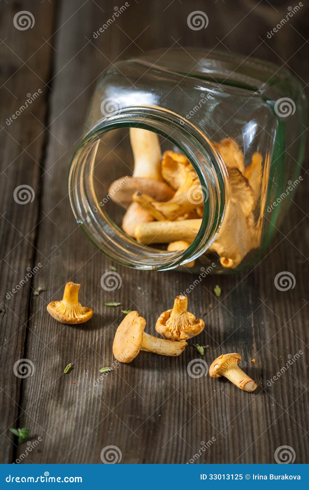 Champignons de chanterelle image stock. Image du blanc 33013125