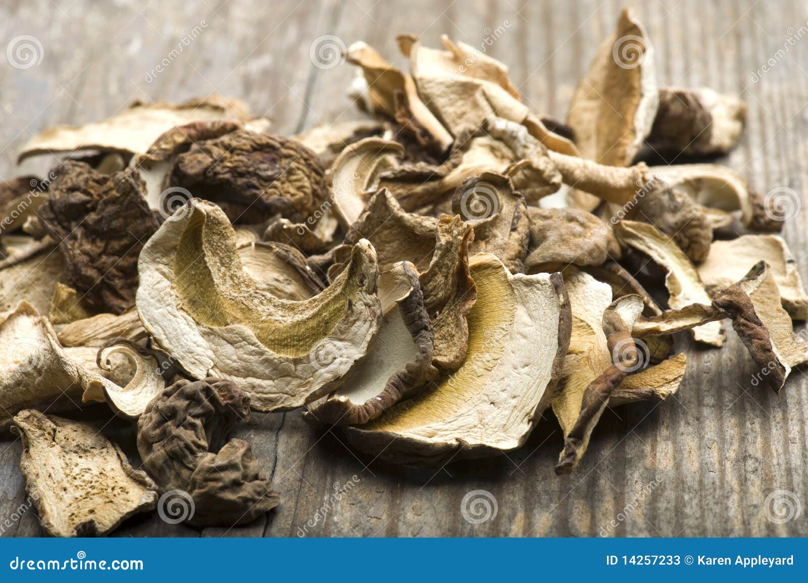 Champignons De Couche De Porcini Image stock Image du nourriture, champignon 14257233