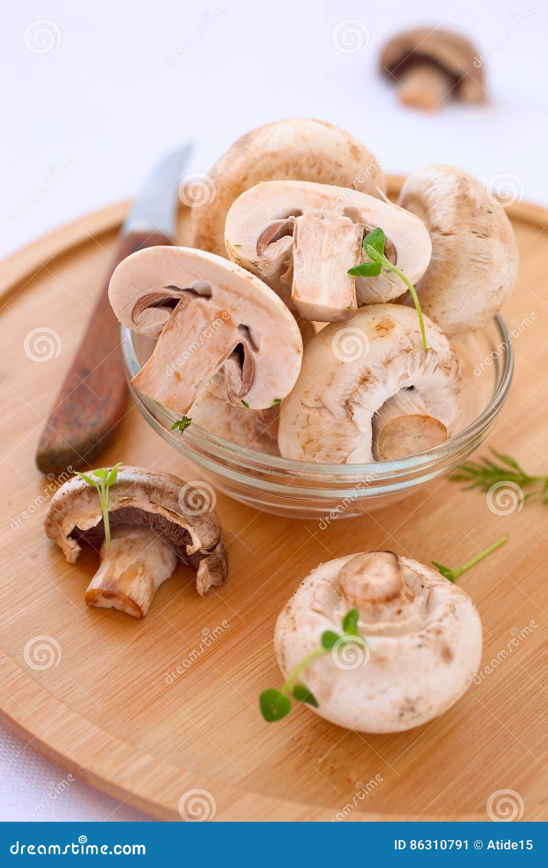 Champion mushrooms image. Image food, -