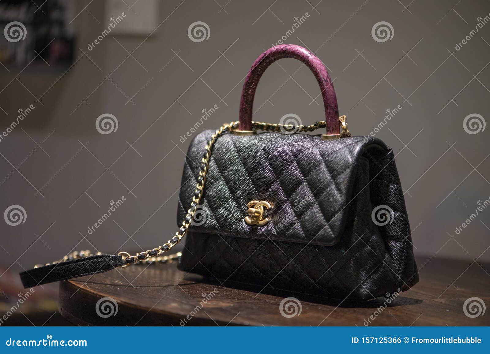Authentic Black Chanel Bag with Pink Python Handle Editorial Stock Image -  Image of macro, elegance: 157125304