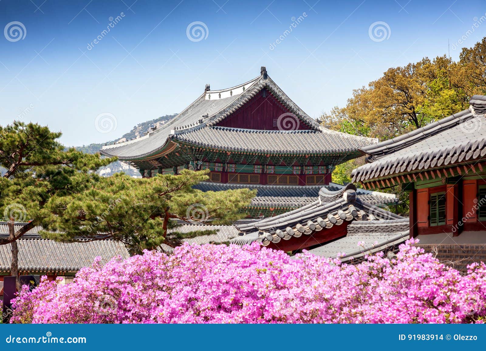 Changdeokgung Royal Palace In Seoul Secret Garden Stock Photo