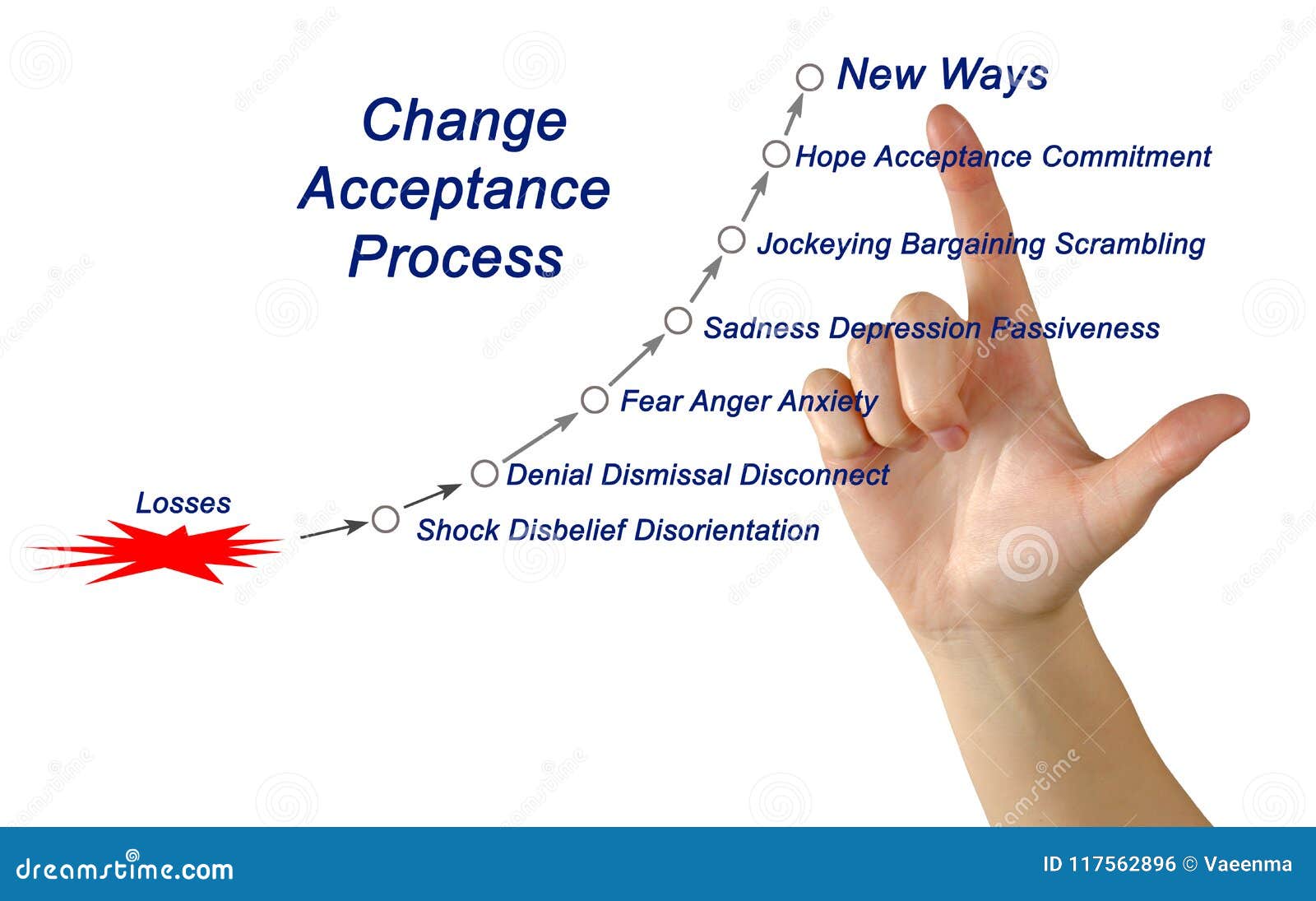 How To Get Employees To Accept Change Stages Of Change Acceptance