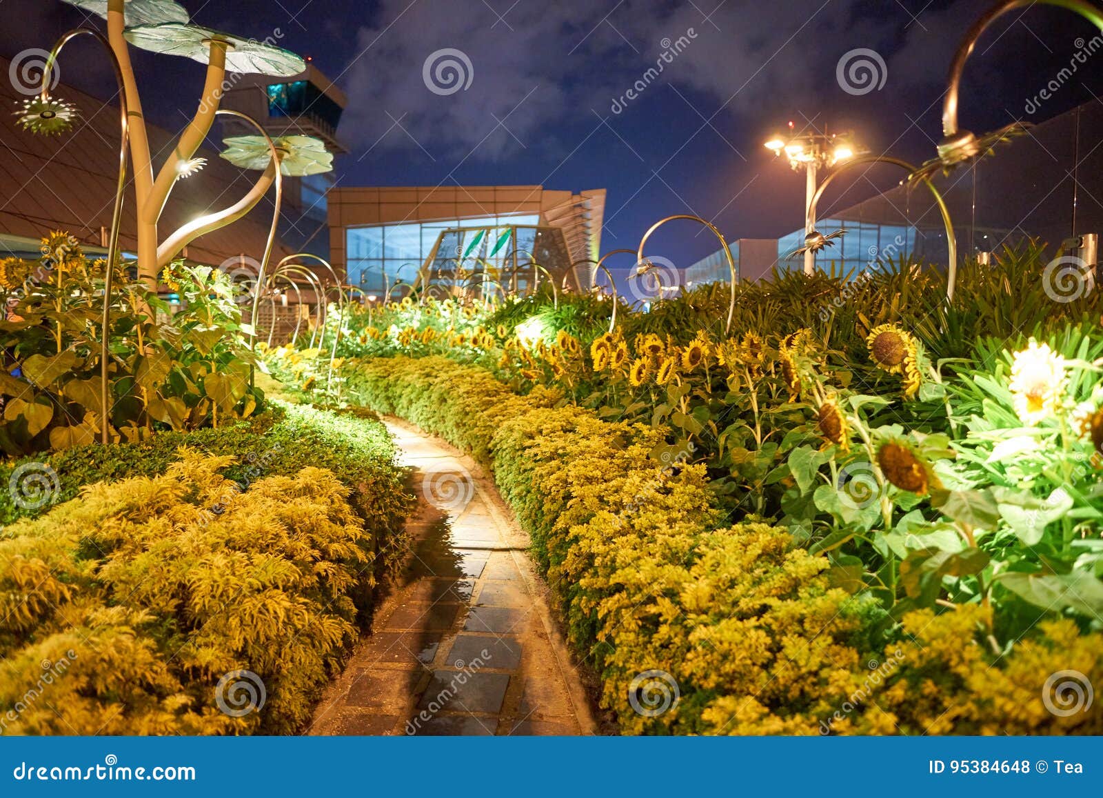 changi airport editorial stock photo. image of outside - 95384648