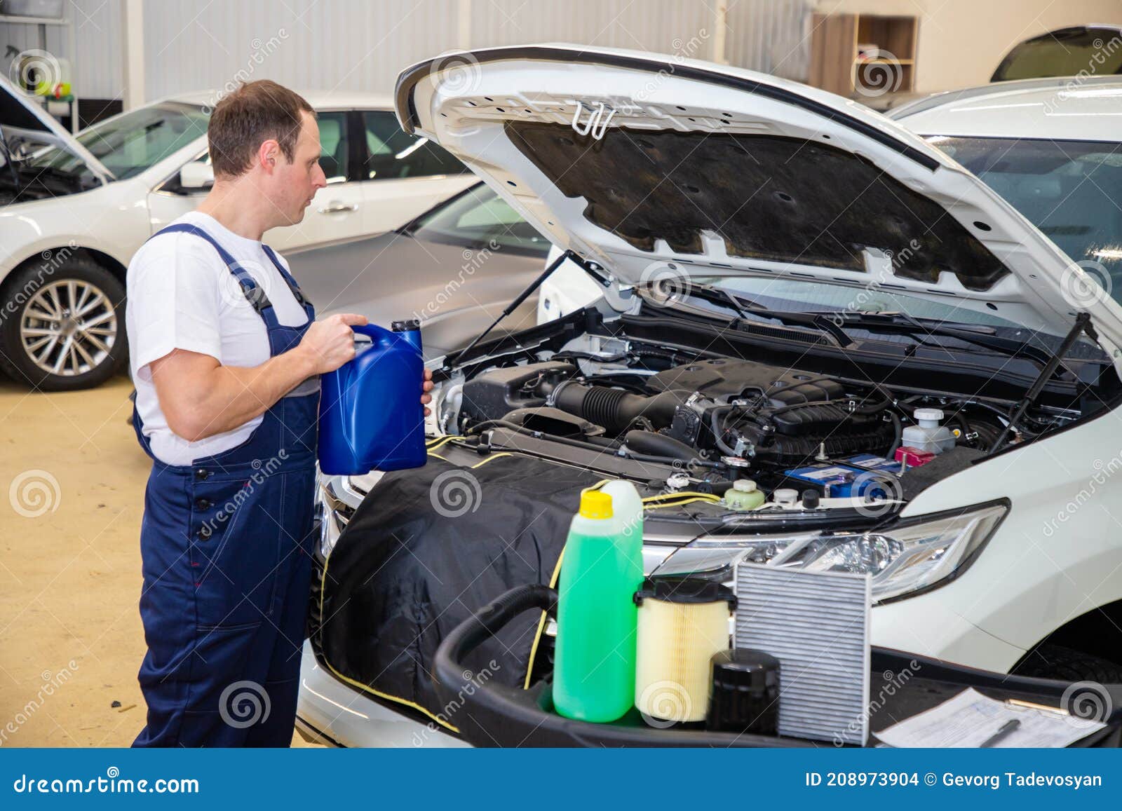 Changing the Oil in the Car in the Technical Center. Stock Photo Image of posing, technical