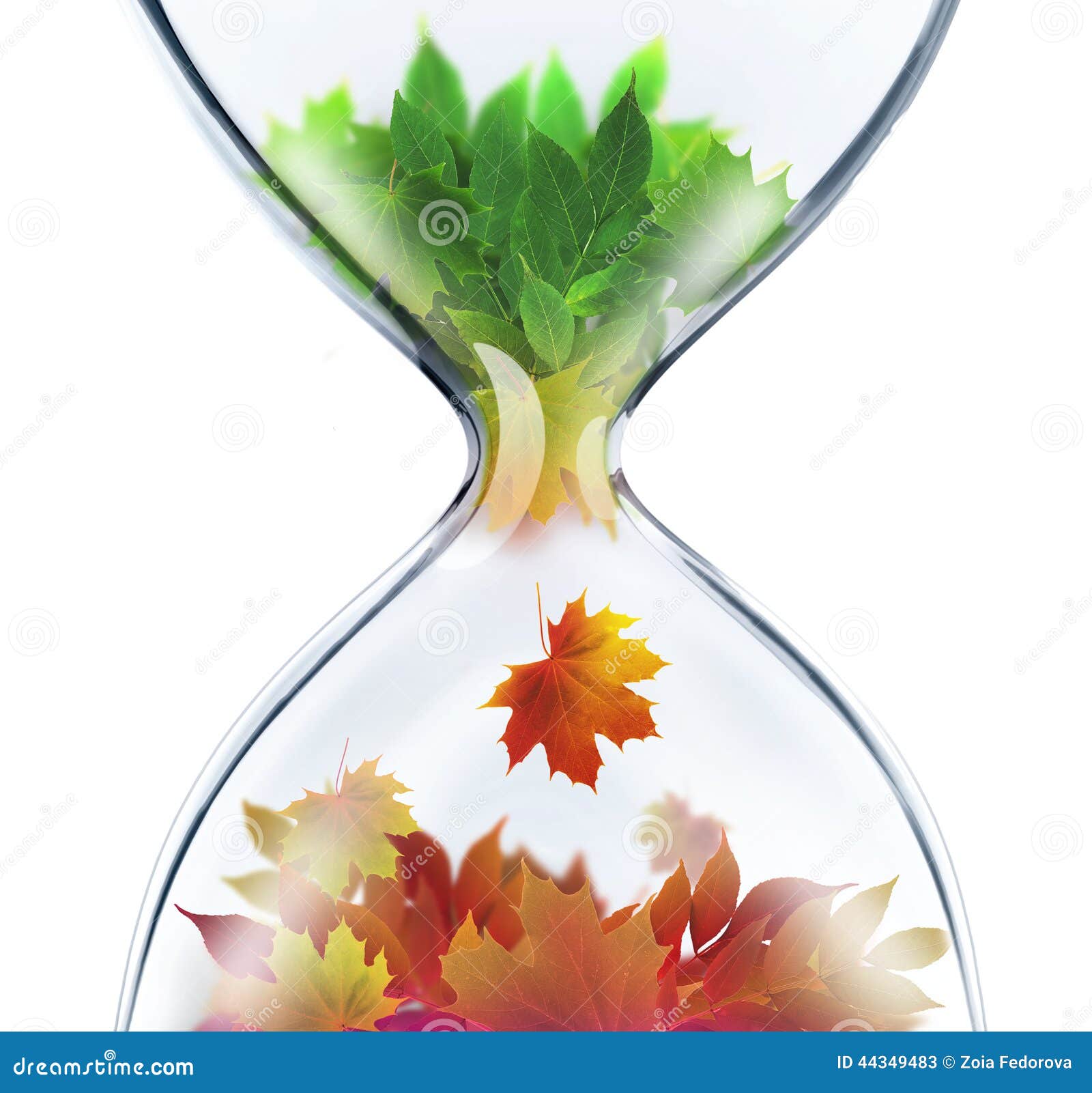The Changing Seasons Concept Stock Illustration - Illustration of