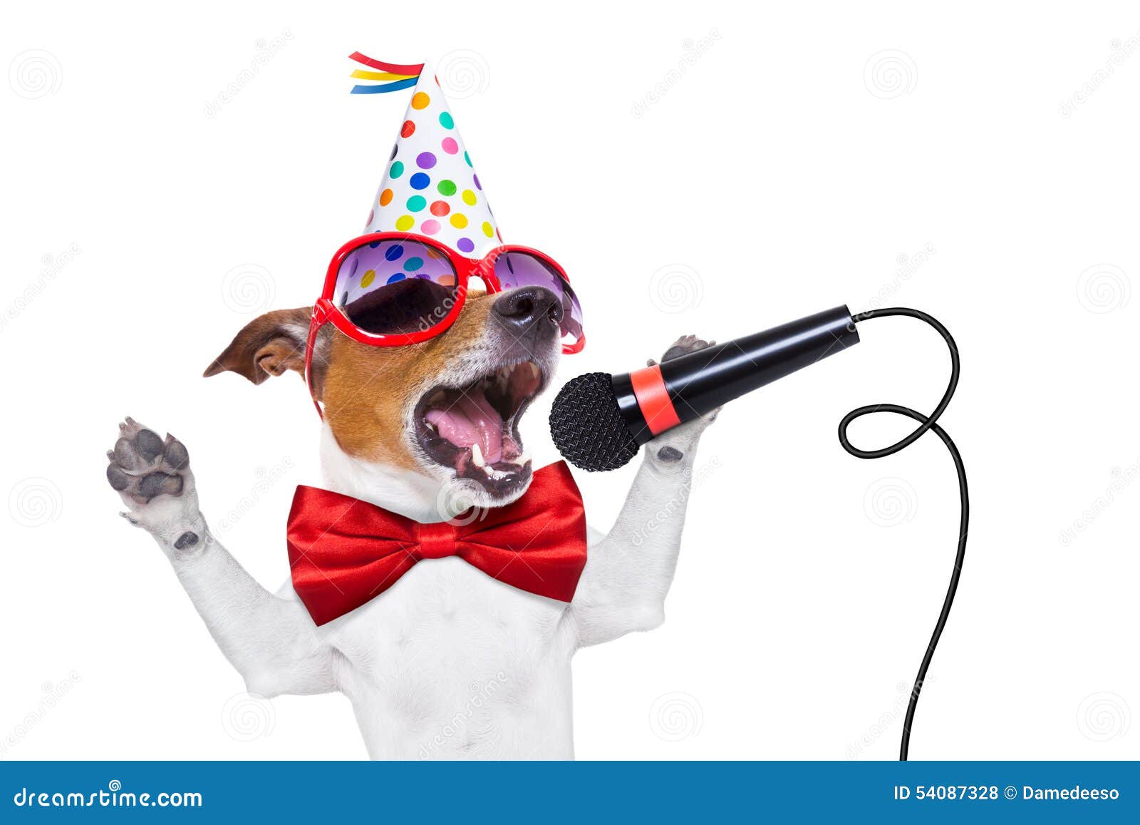 Chant De Chien De Joyeux Anniversaire Photo Stock Image Du Plaisanterie Karaoke Chant De Chien De Joyeux Anniversaire Photo Stock Image Du Plaisanterie Karaoke