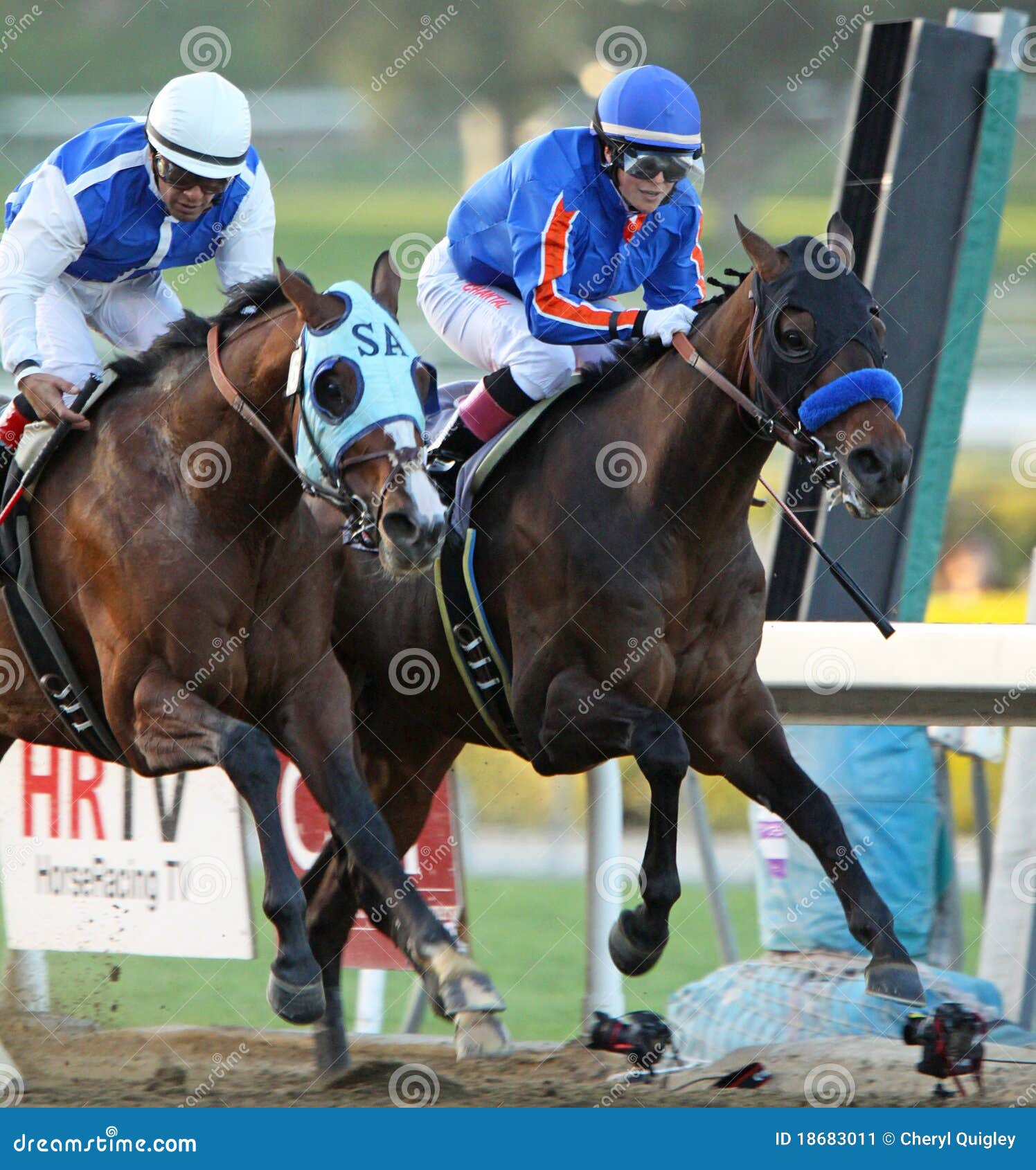 Chantal Sutherland Vince L'handicap Della Santa Anita Fotografia ...