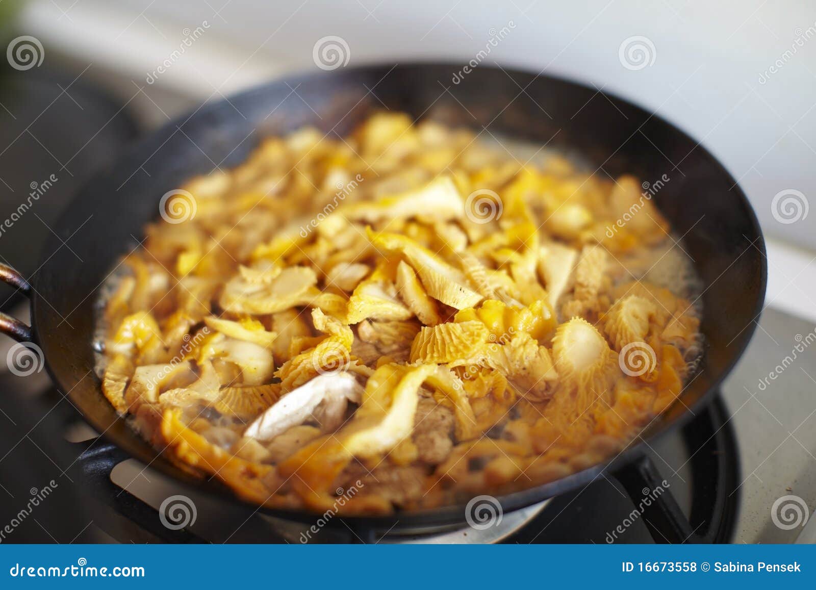 Chanterelle Cooking in the Frying Pan Stock Photo Image of gourmet