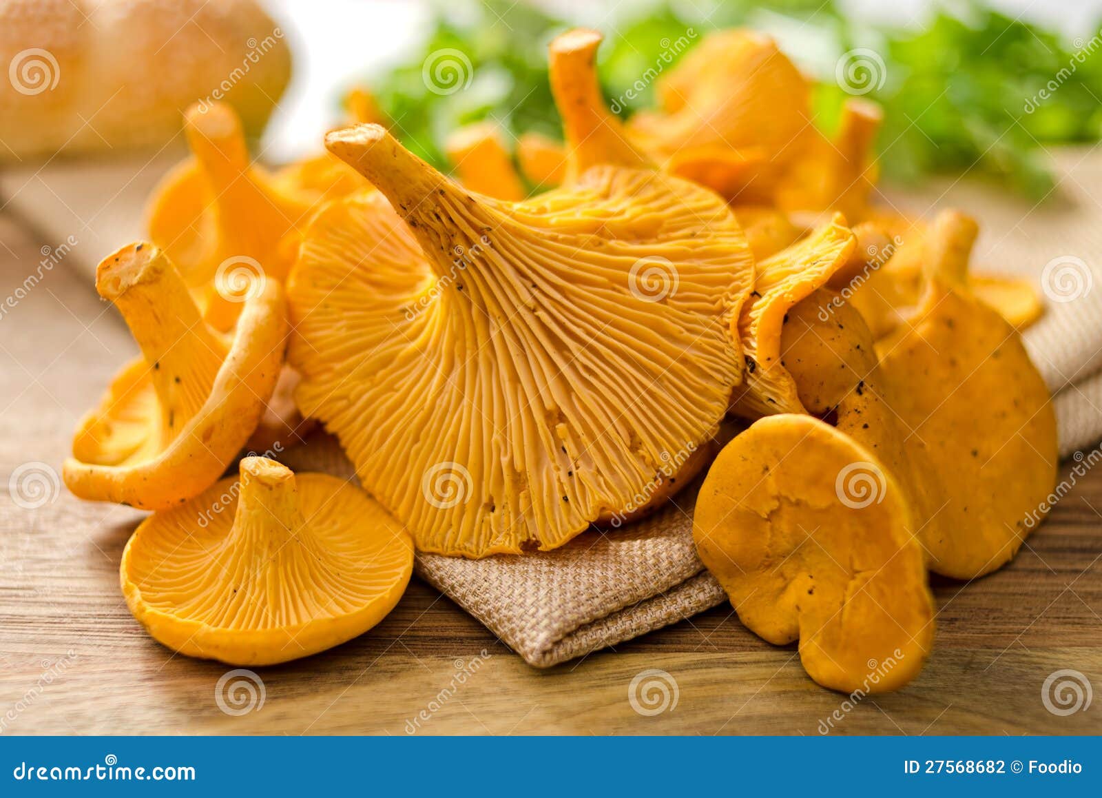 Chanterelle Mushrooms stock photo. Image of eating, growth 27568682