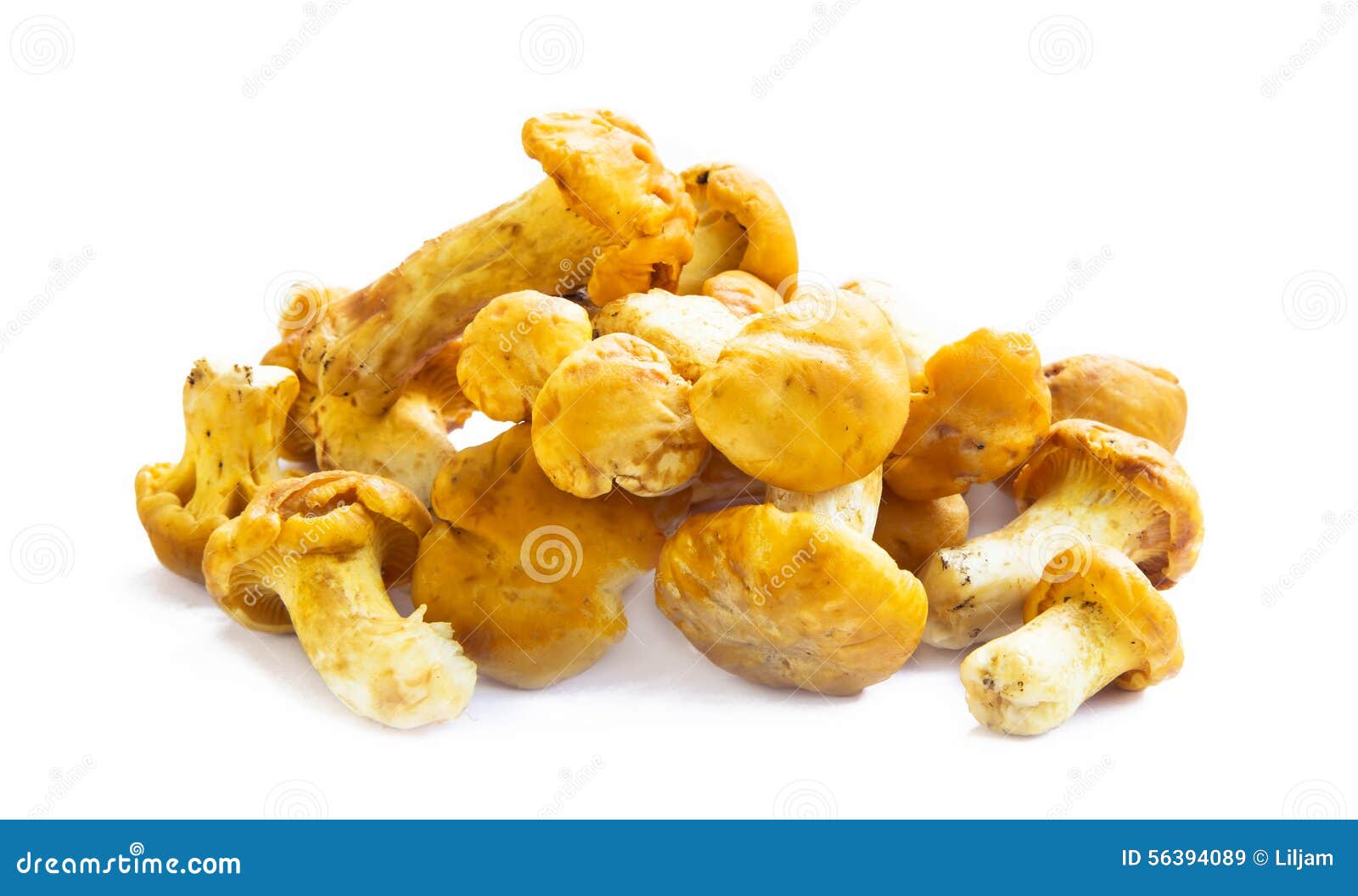 Chanterelle Mushrooms Isolated Stock Image Image of vegetarian