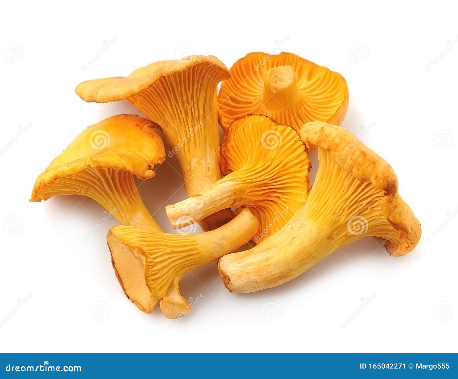 Chanterelle Mushrooms Vegetables Stock Image Image of mushrooms