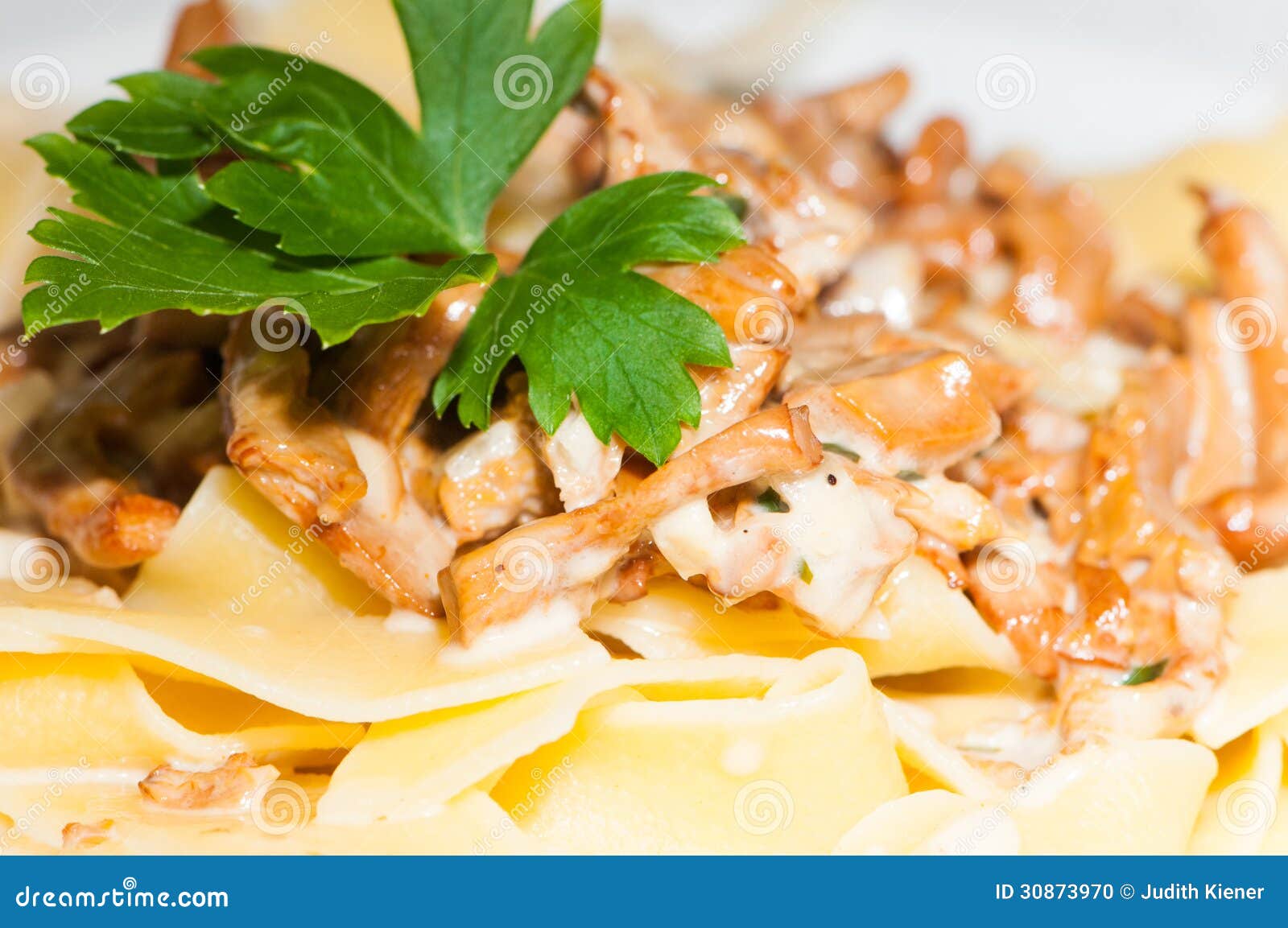 Chanterelle with pasta stock photo. Image of macro, closeup 30873970