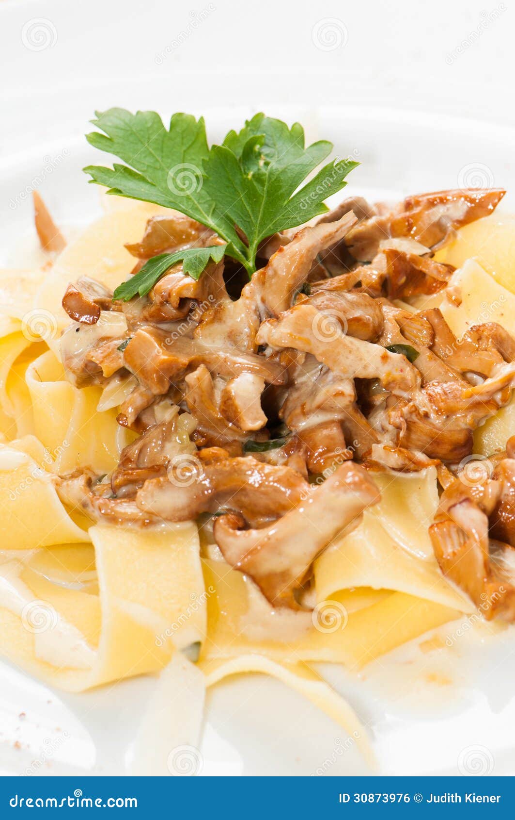 Chanterelle with pasta stock photo. Image of vegetable 30873976