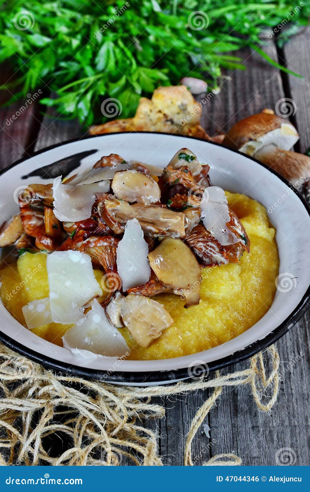 Chanterelle and Porcini Mushroom Stock Photo - Image of grill, making ...