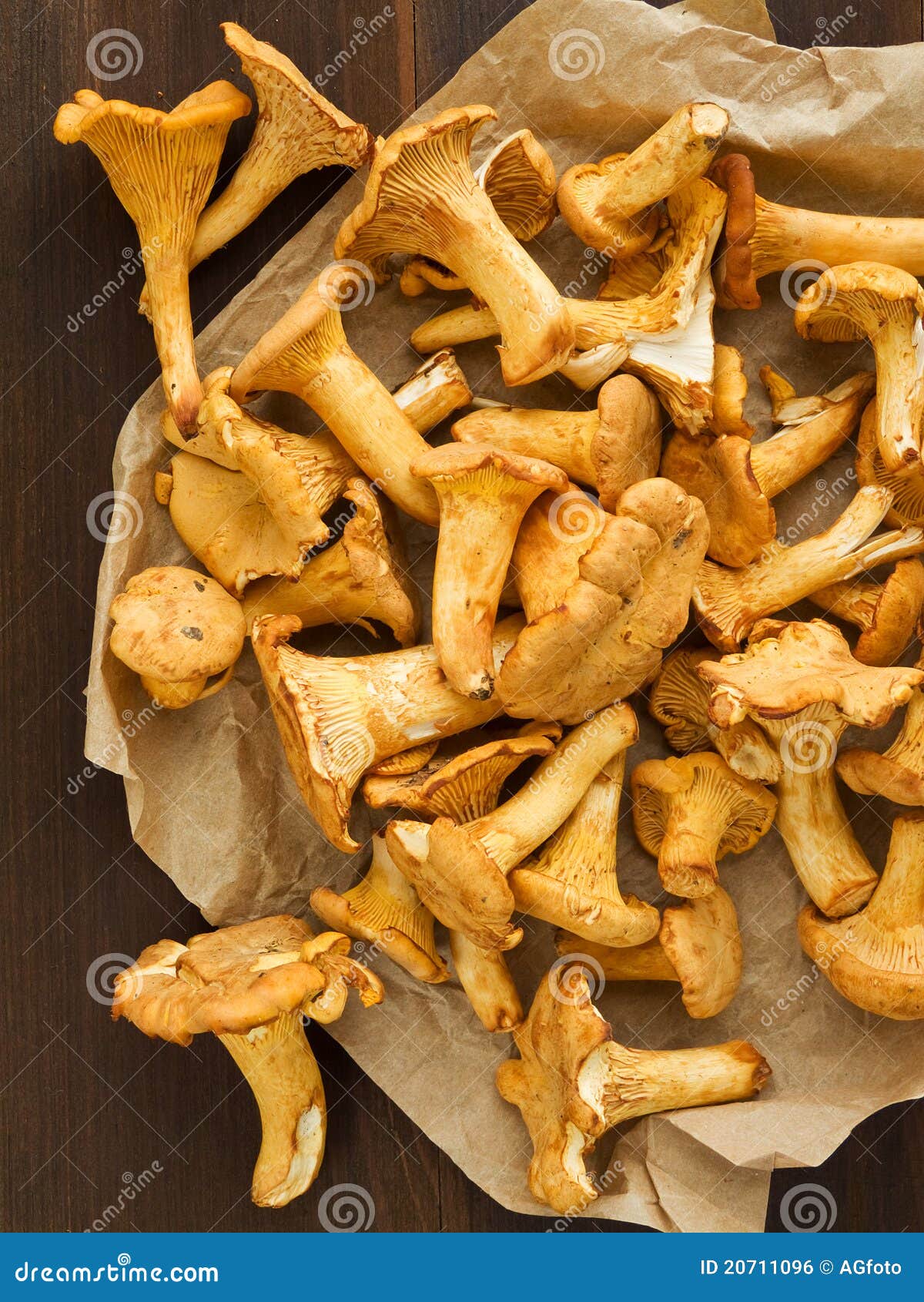 Chanterelles stock photo. Image of vegetarian, season 20711096