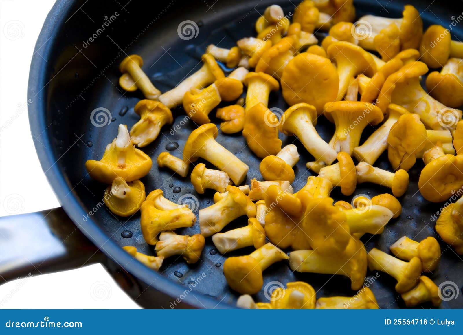Chanterelles stock photo. Image of redheads, cook, mushrooms 25564718