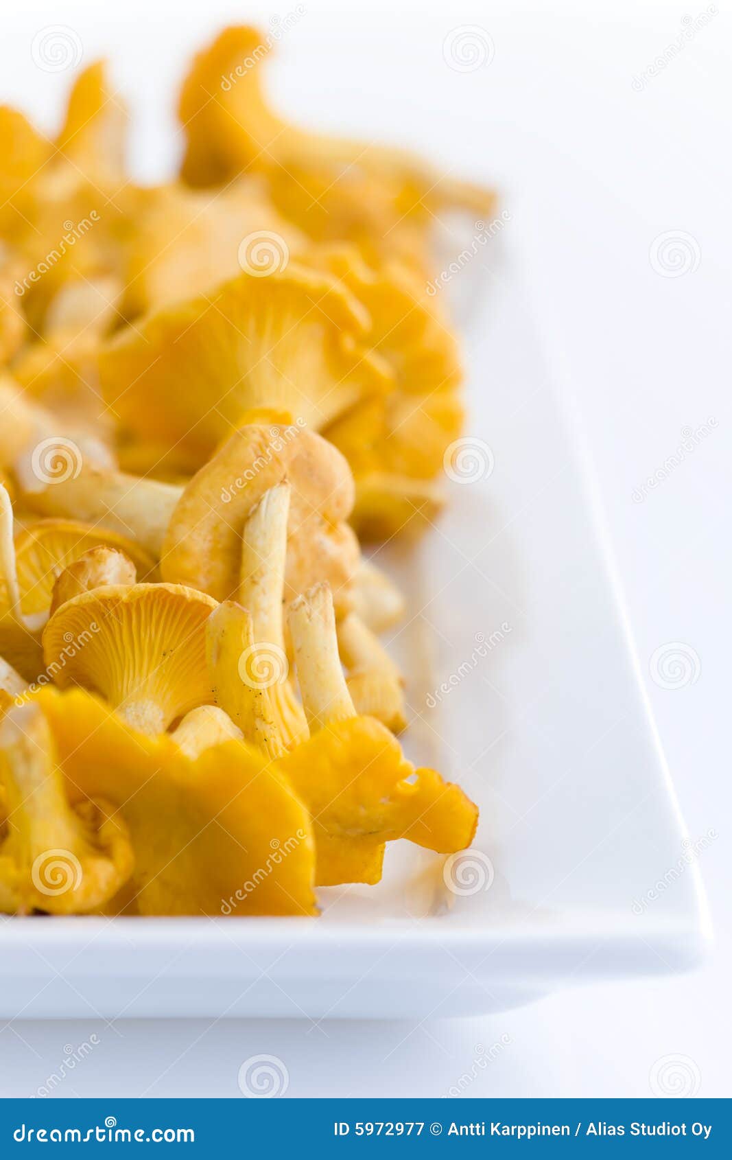 Chanterelles stock image. Image of yellow, nutrition, food 5972977