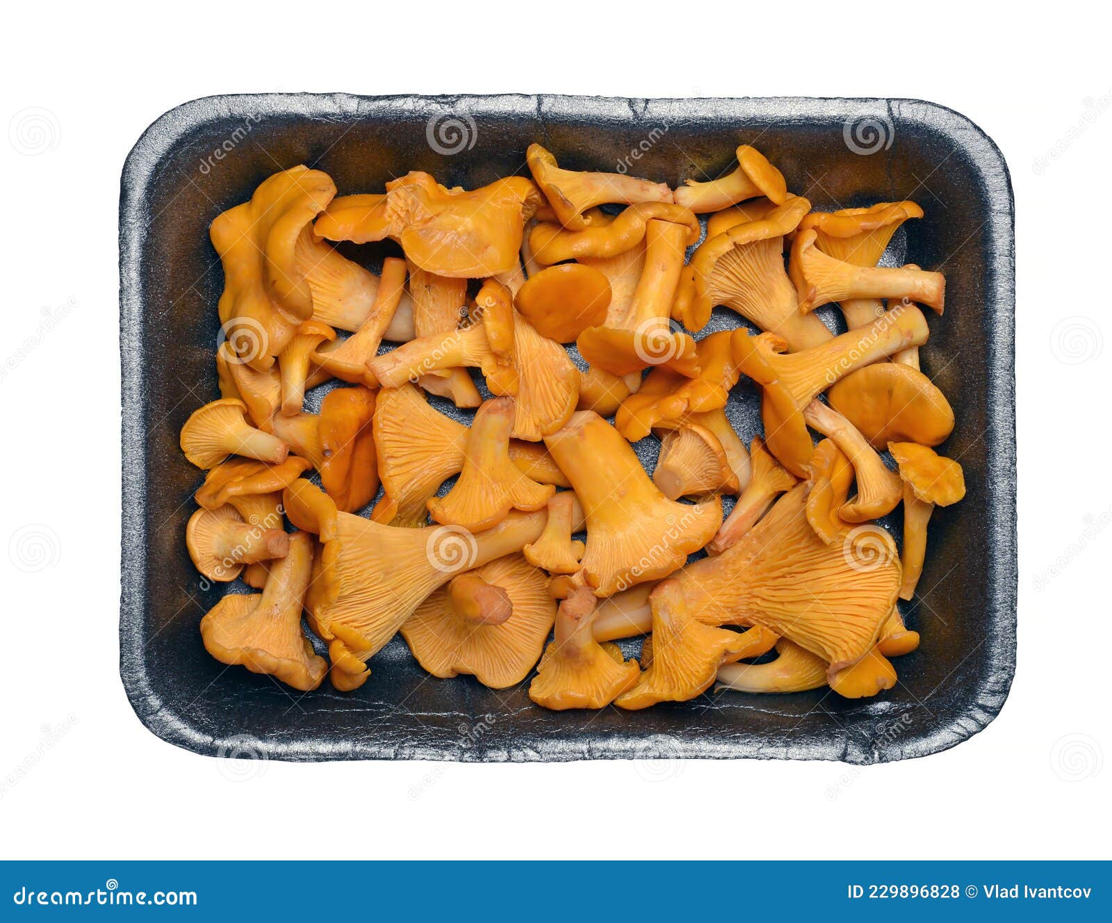Chanterelles or Girolles Mushroom in Black Plate Stock Photo Image of isolated, organic 229896828