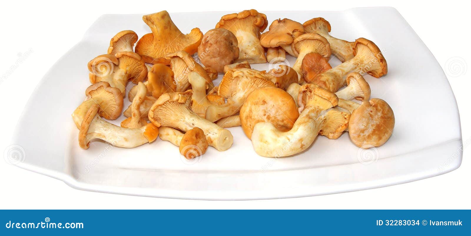 Chanterelles stock photo. Image of boletus, eatable, autumn 32283034