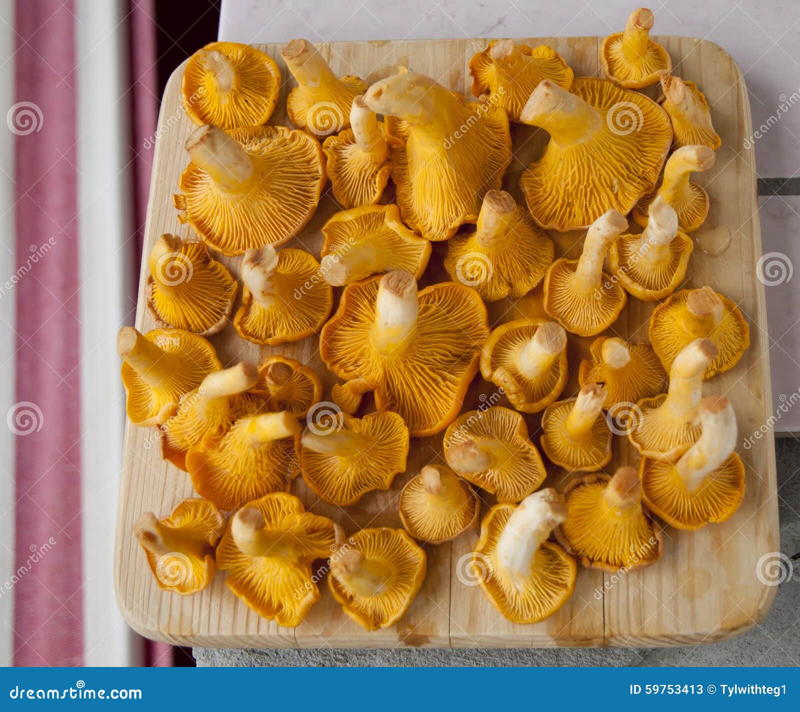 Chanterelles on a plate stock image. Image of season 59753413