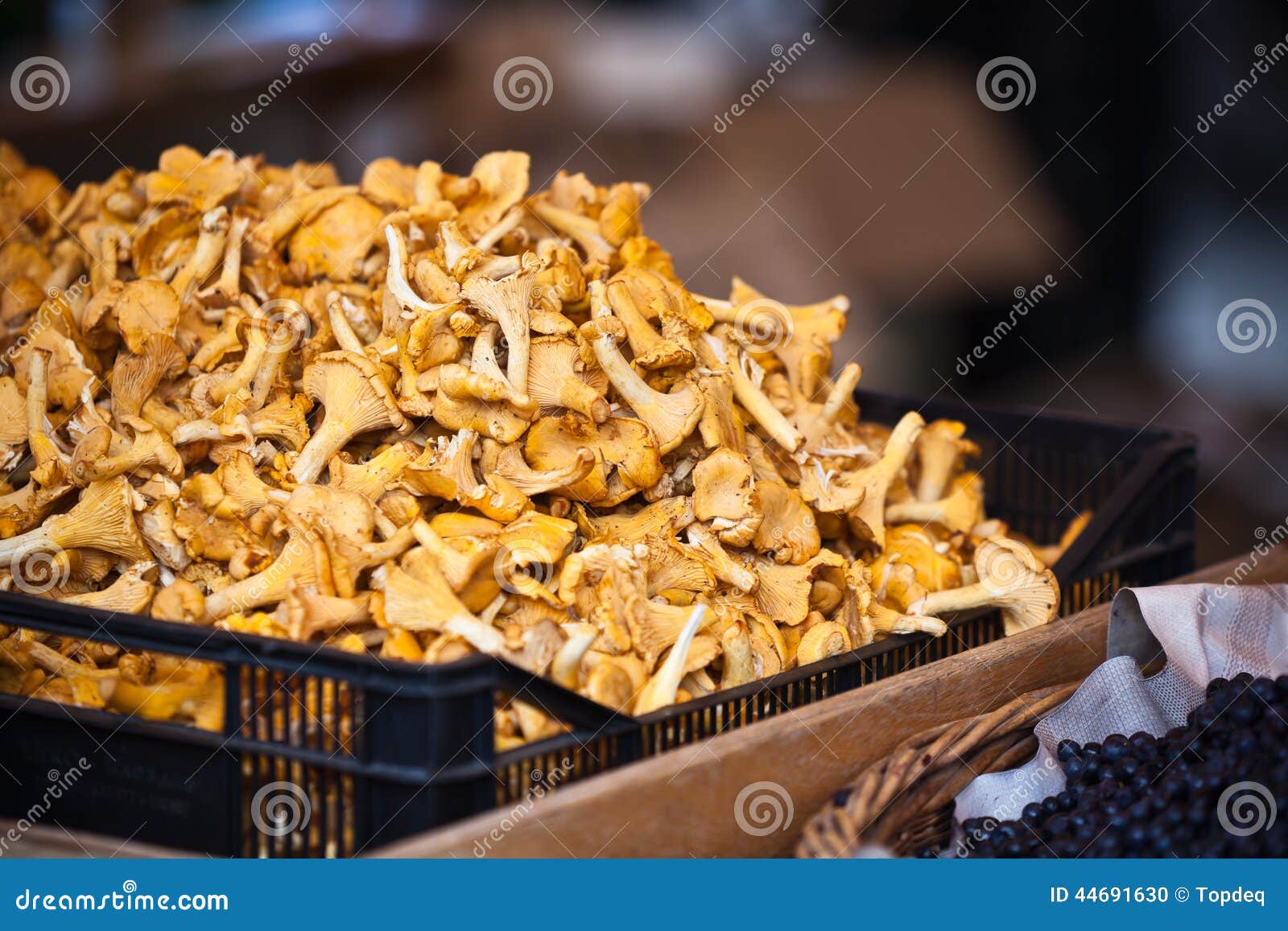 Chanterelles Selling in a Market Stock Photo Image of stem, ingredient 44691630
