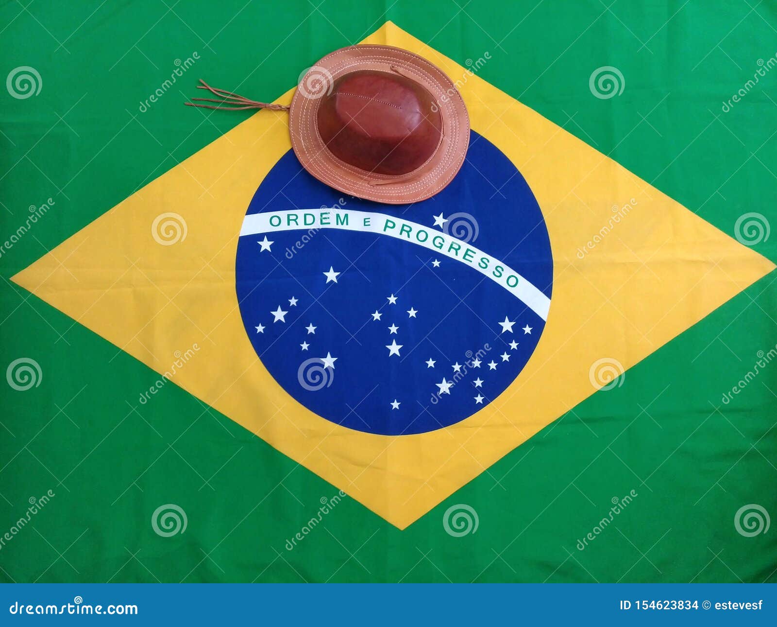 Bandeira do país ficcional República Popular do Nordeste Sul-Americano :  r/BrasildoB