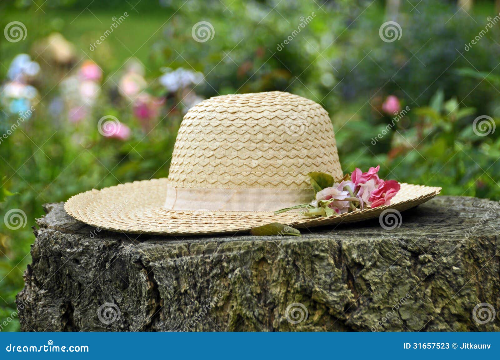 Chapeau De Paille Dans Le Jardin Image stock - Image du bois, paille:  31657523