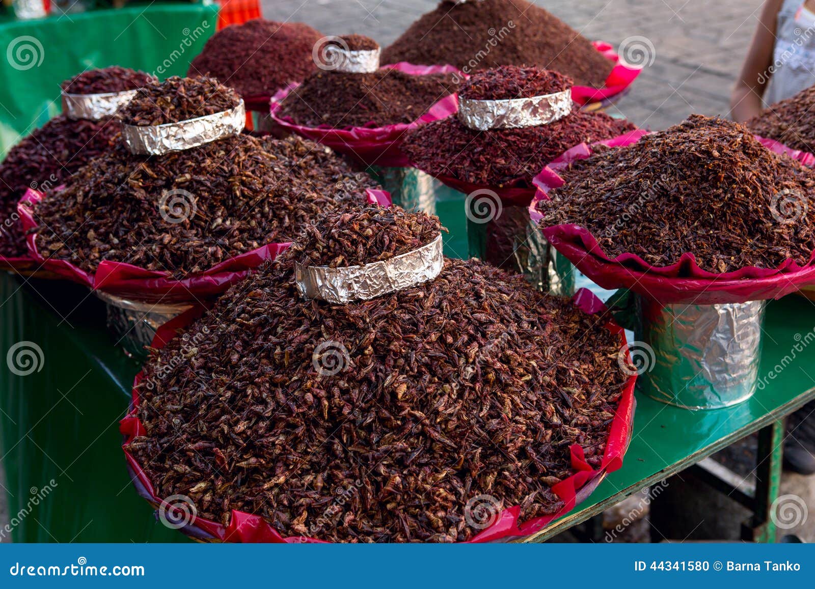 Chapulines de Oaxaca foto de archivo. Imagen de proteína ...