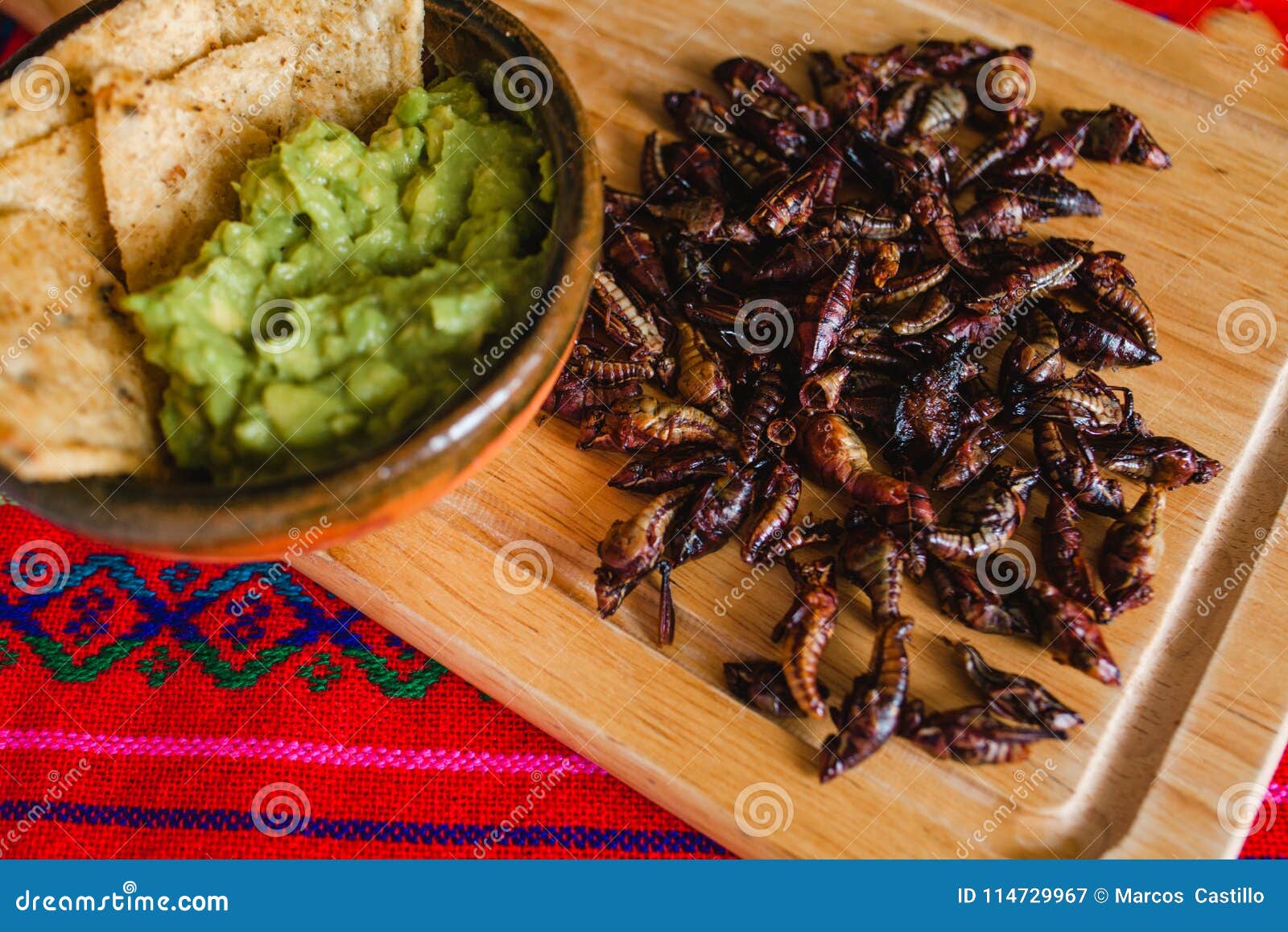 chapulines, grasshoppers snack traditional mexican cuisine from oaxaca mexico