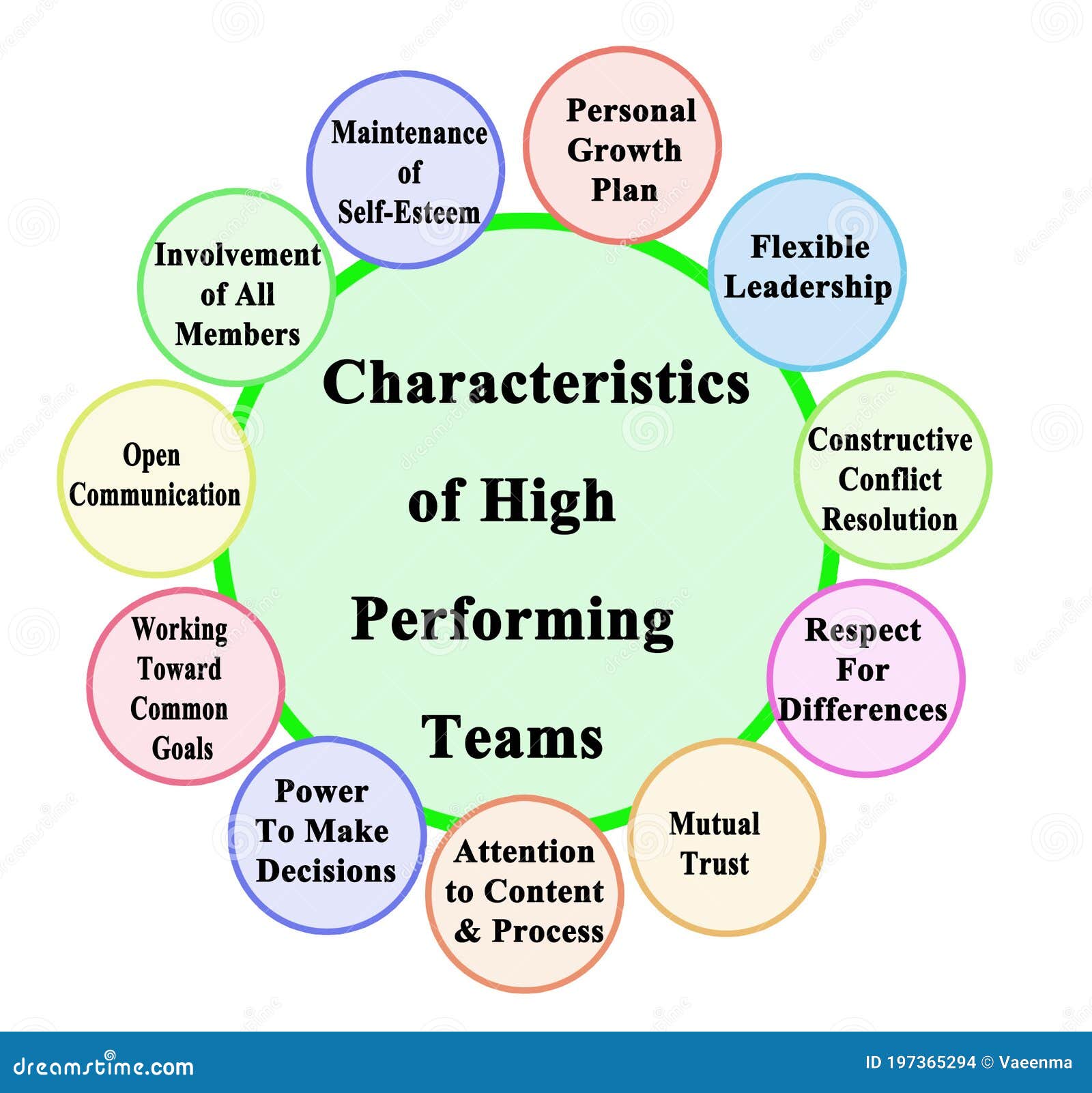 characteristics of high performing teams