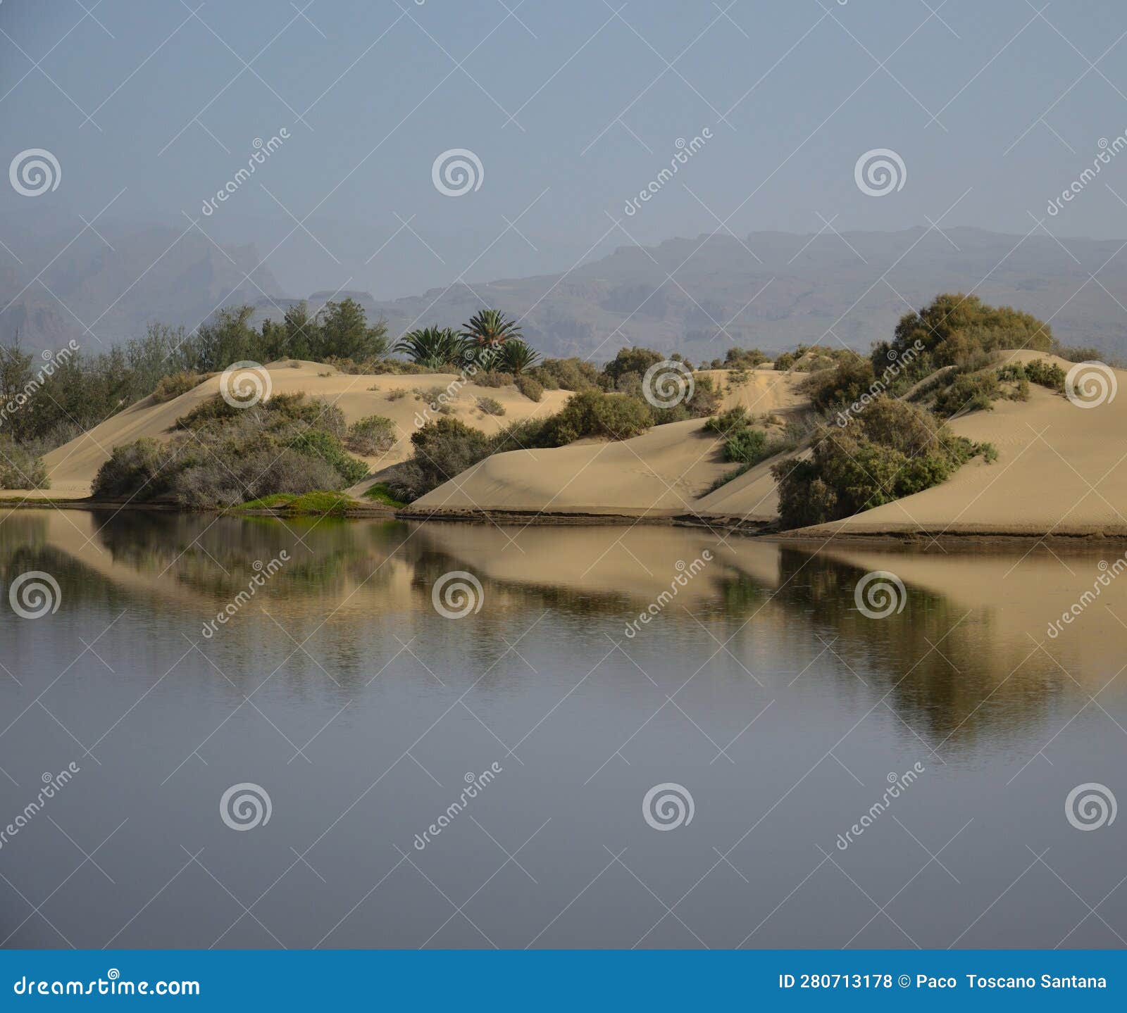 charca of maspalomas, gran canaria, canary islands