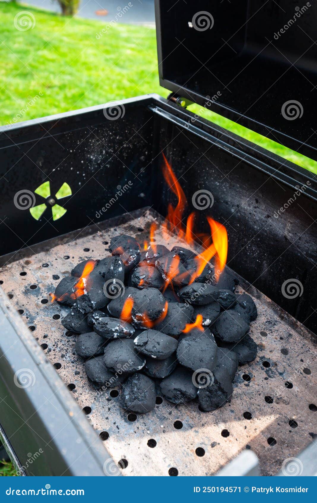 Charcoal Briquette Burning in the Grill Stock Image Image of stone