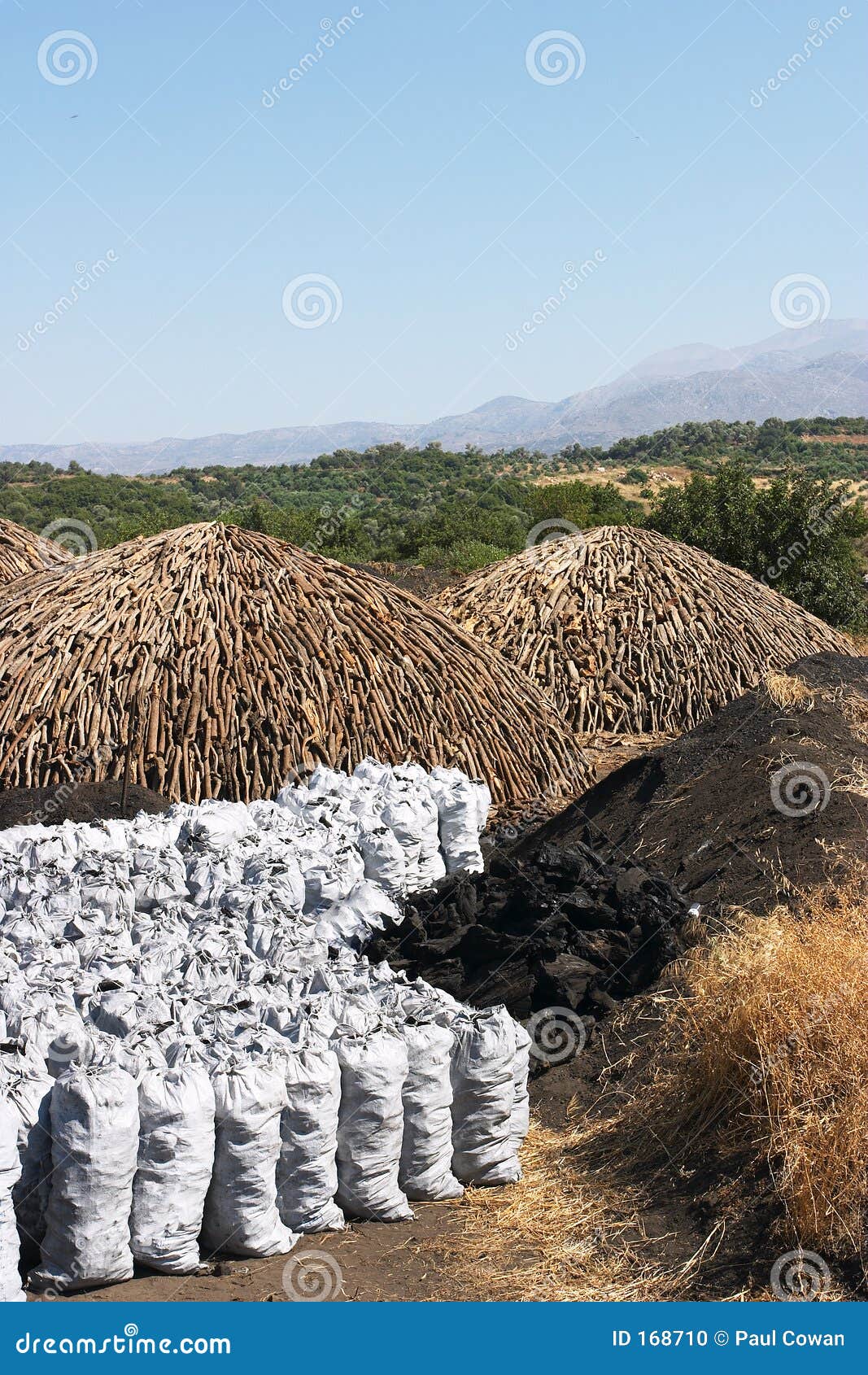 Charcoal burning 1 stock photo. Image of traditional, environmental
