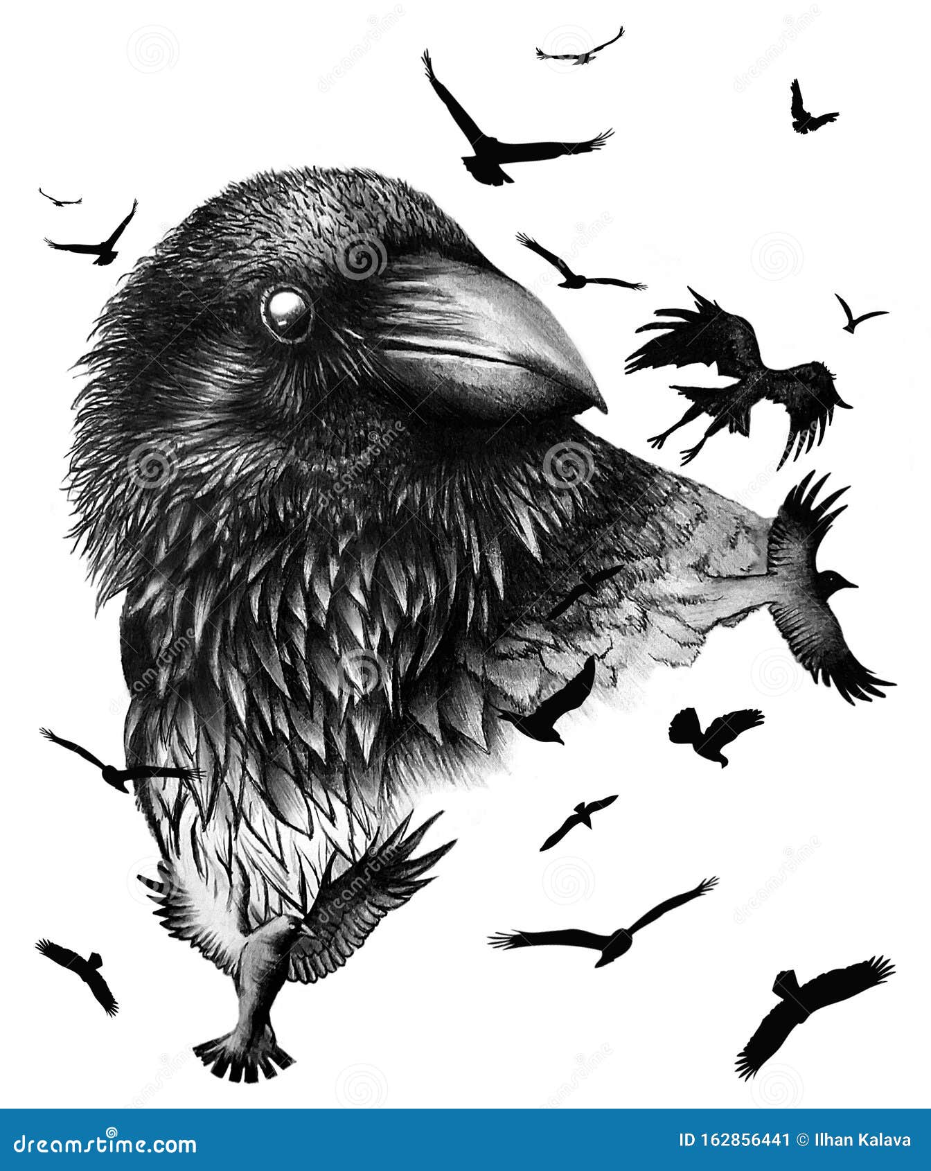 A terrible crow flying cartoon 5317627 Vector Art at Vecteezy