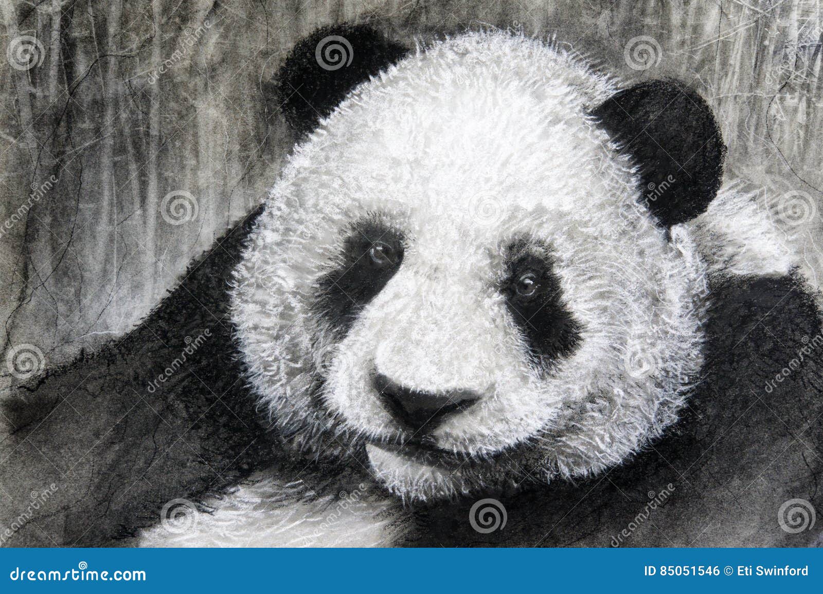 Charcoal drawing panda stock photo. Image of pastel, creature ...