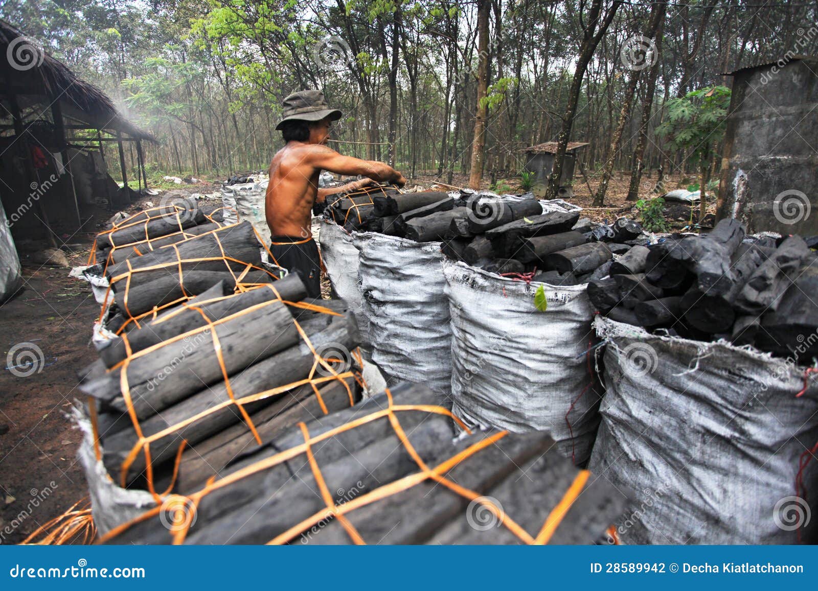Charcoal factory worker editorial photography. Image of land 28589942